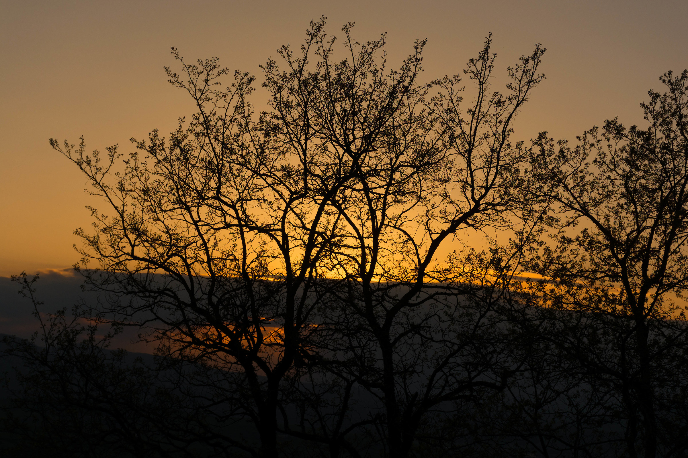 Lagopesole - Vulture (Basilicata PZ)