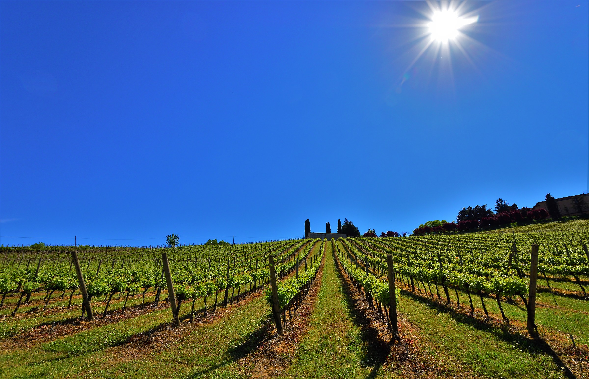 From here to eternity