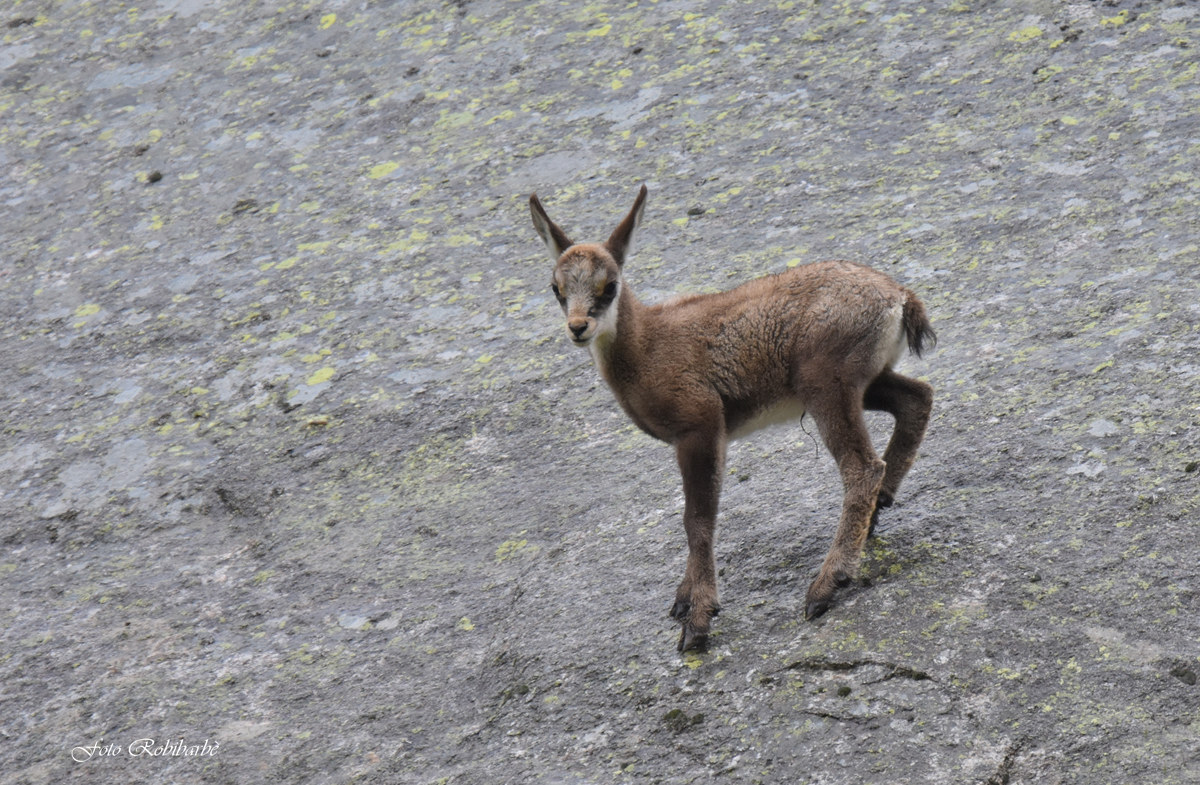 Tutto da scoprire...
