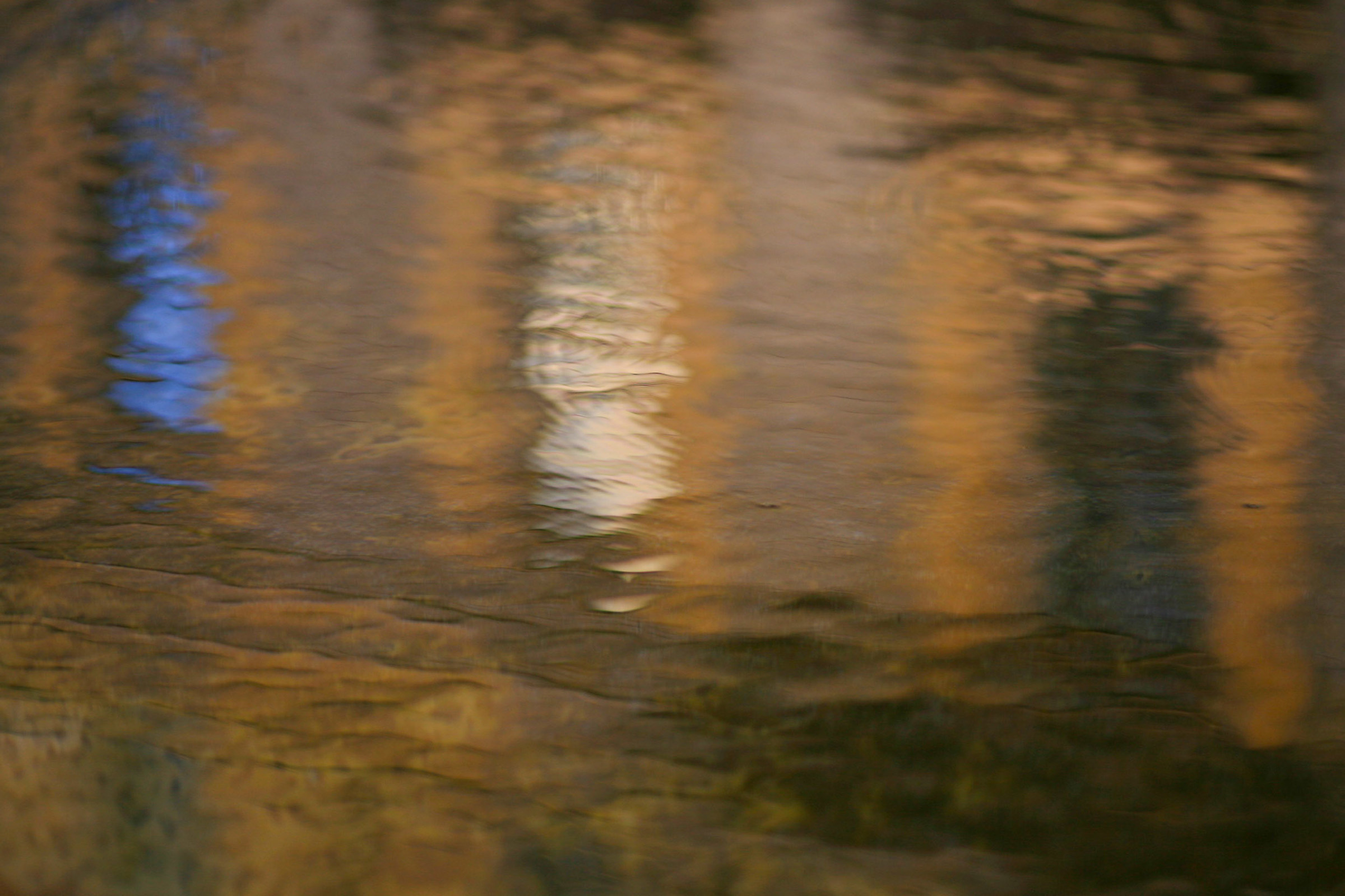 Painting with water reflections, I