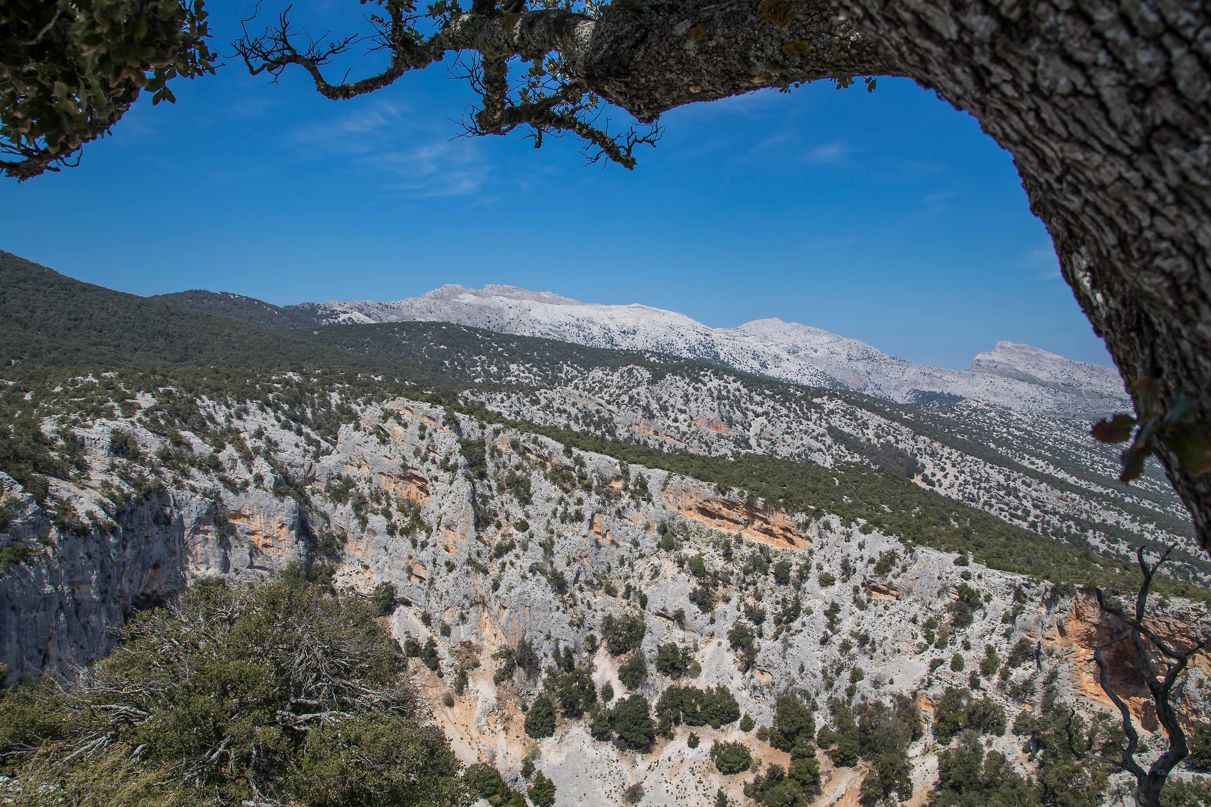 Dolina Su sercone Supramonte