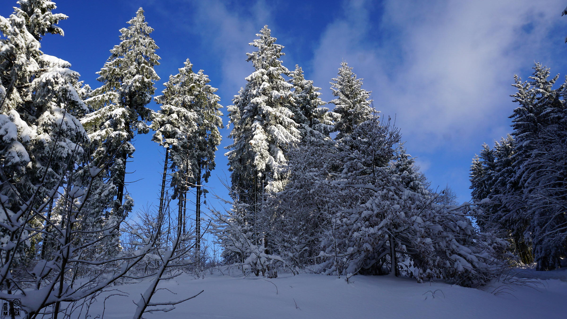 Winterwelt im Siegerland