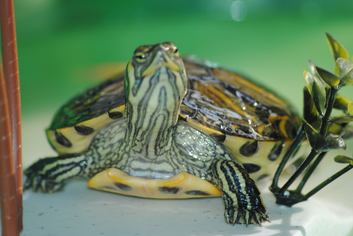 ci prendiamo un po di sole