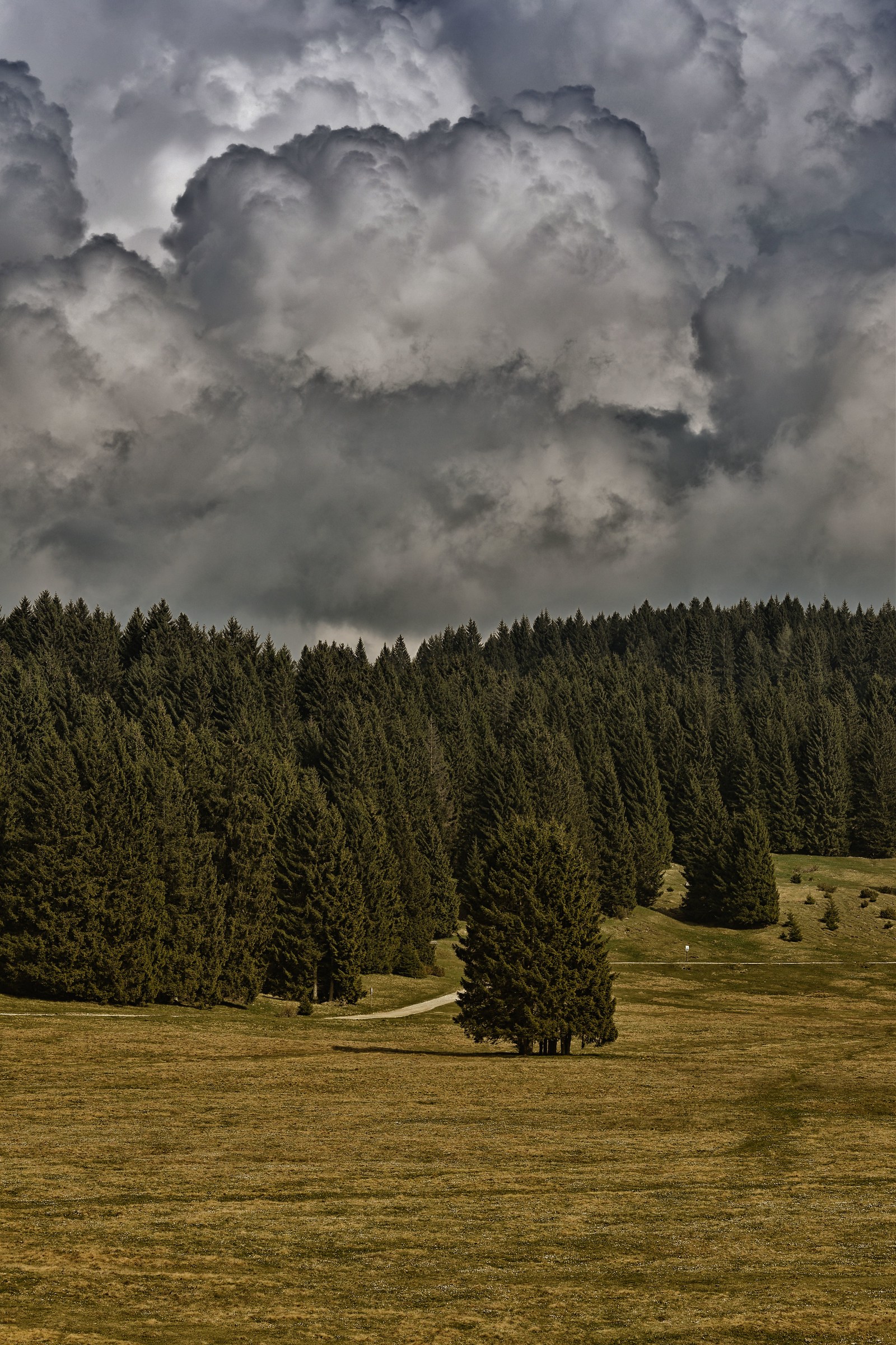 Malga Millegrobbe - nuvole minacciose