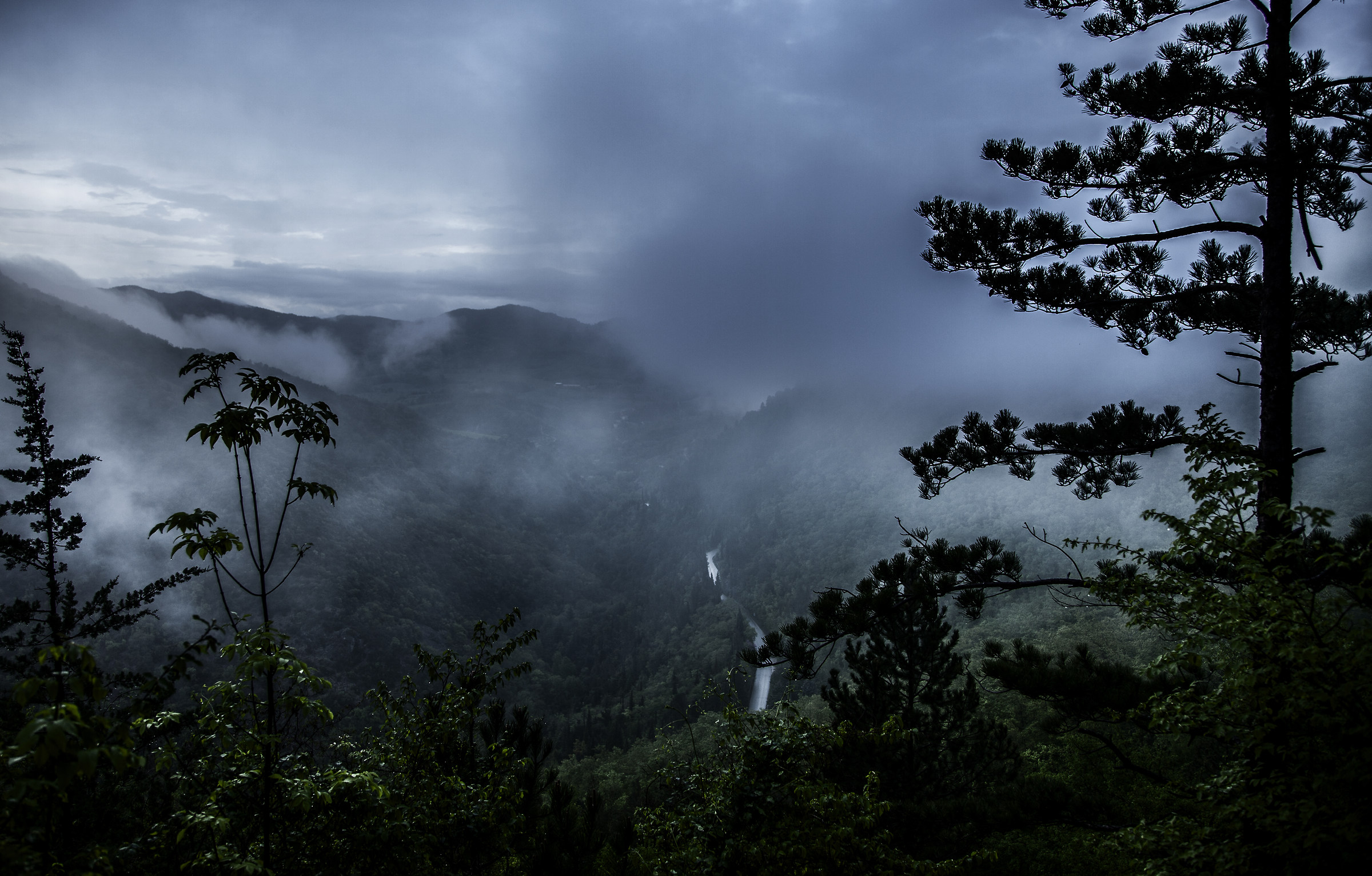 From Armenzano in June