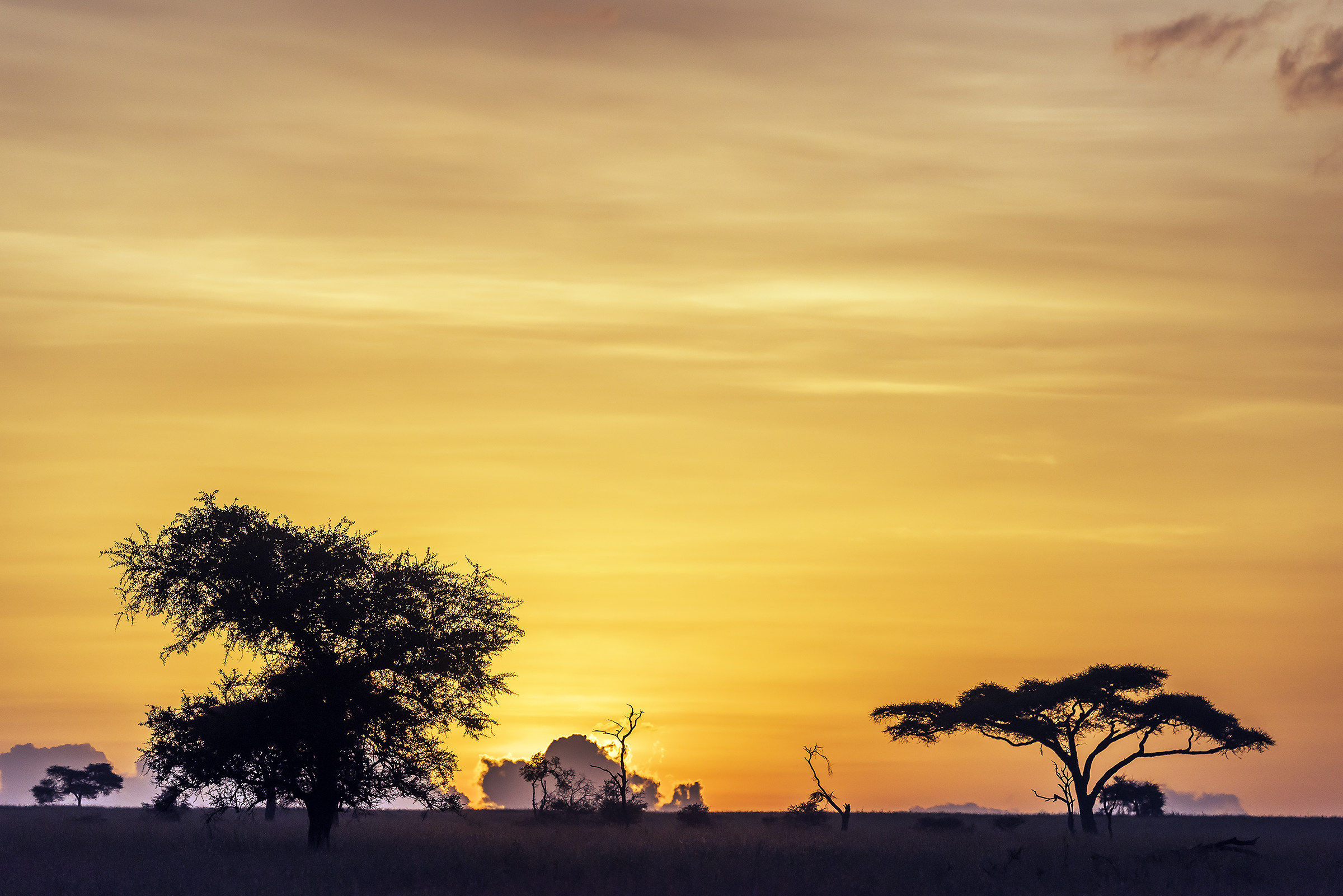 Tanzania 2017 - Serengeti