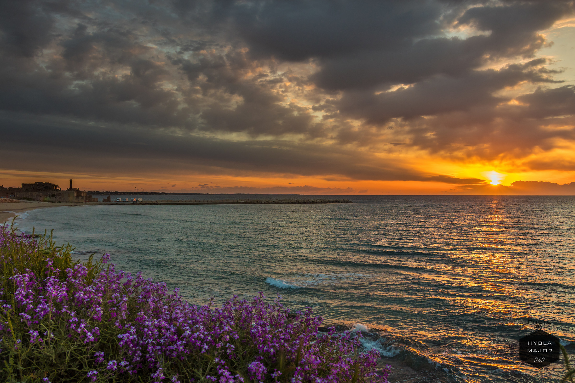 Lilac flowers at dawn