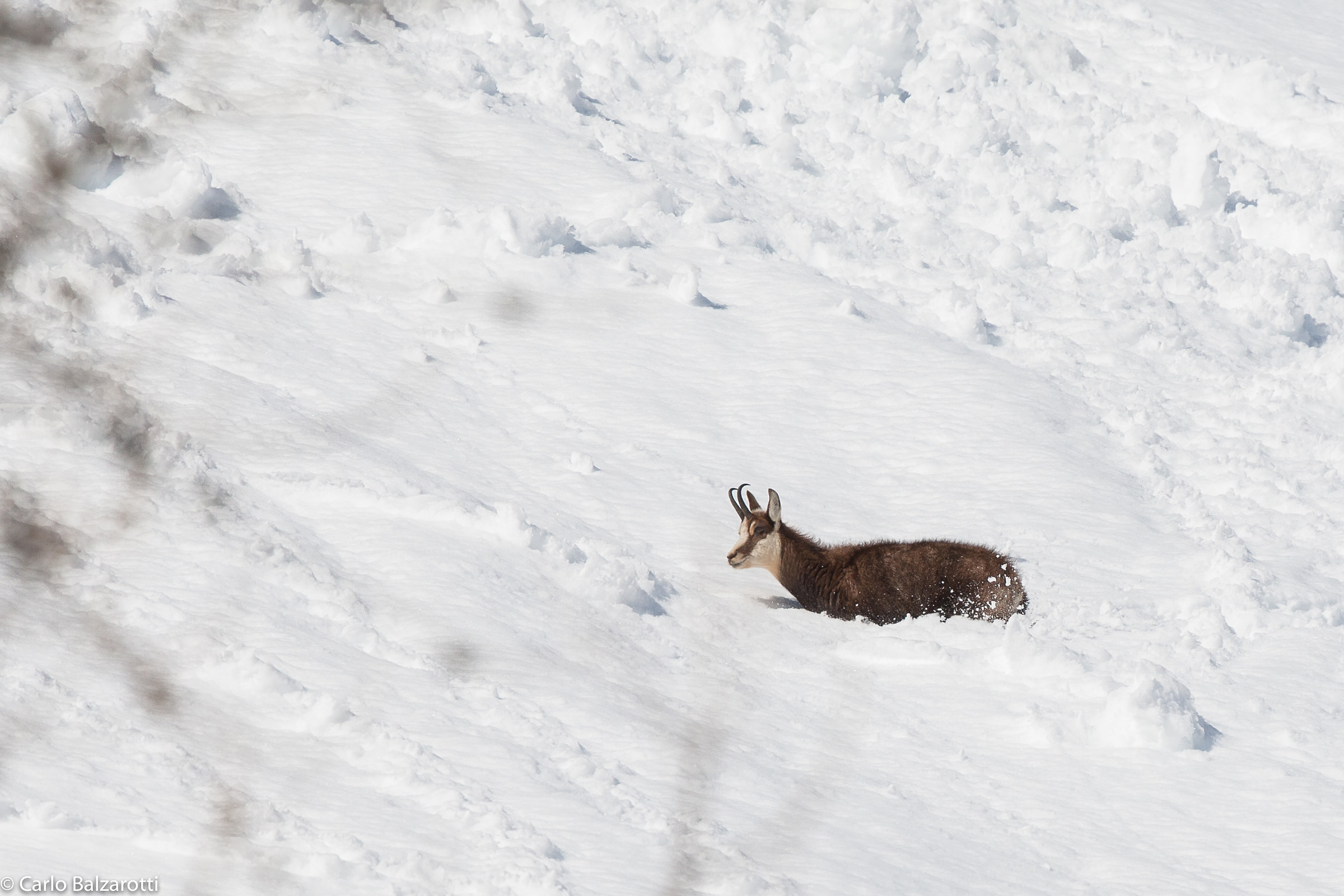 Le ultime fatiche dell'inverno