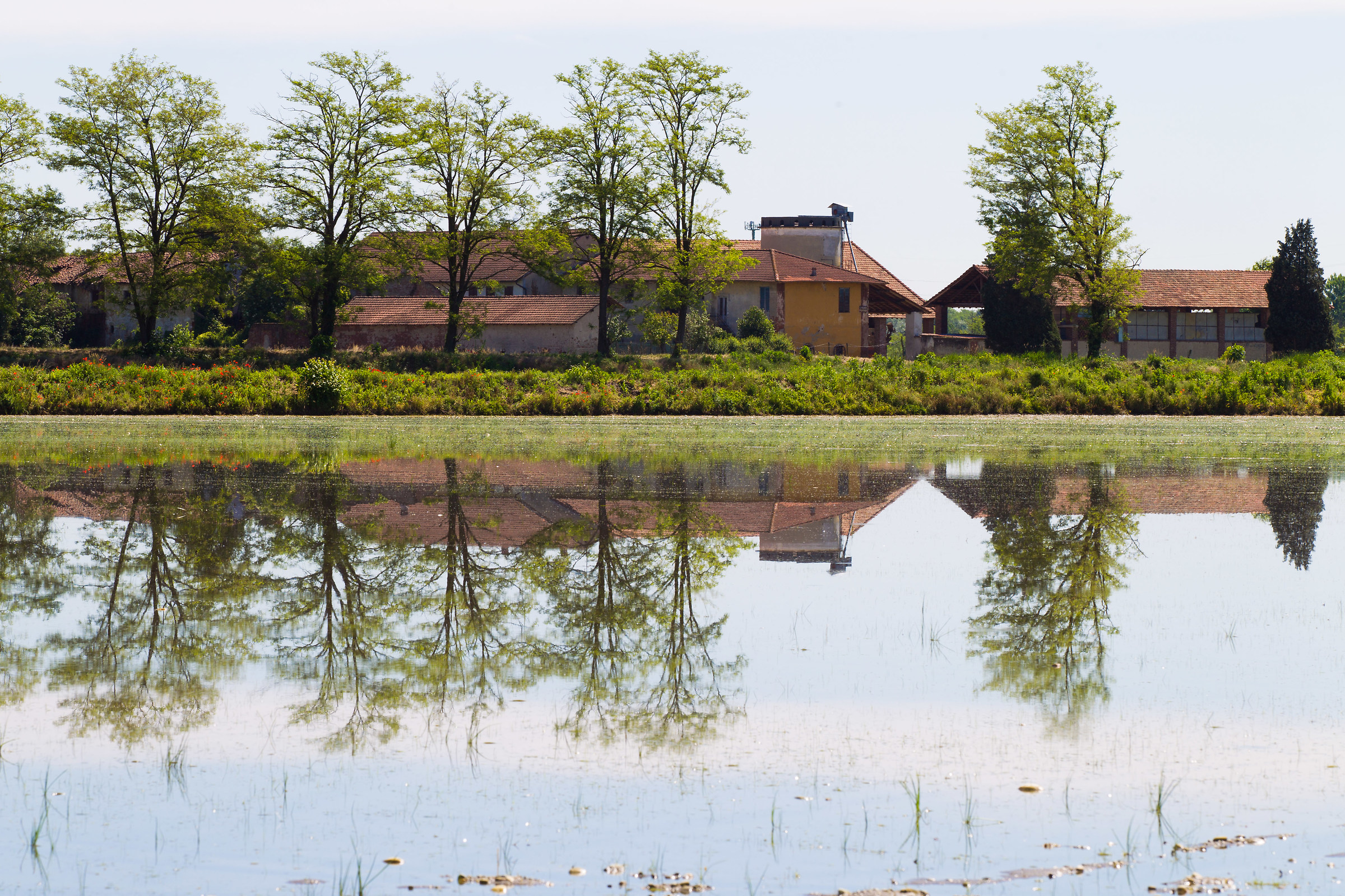 La Primavera è tornata