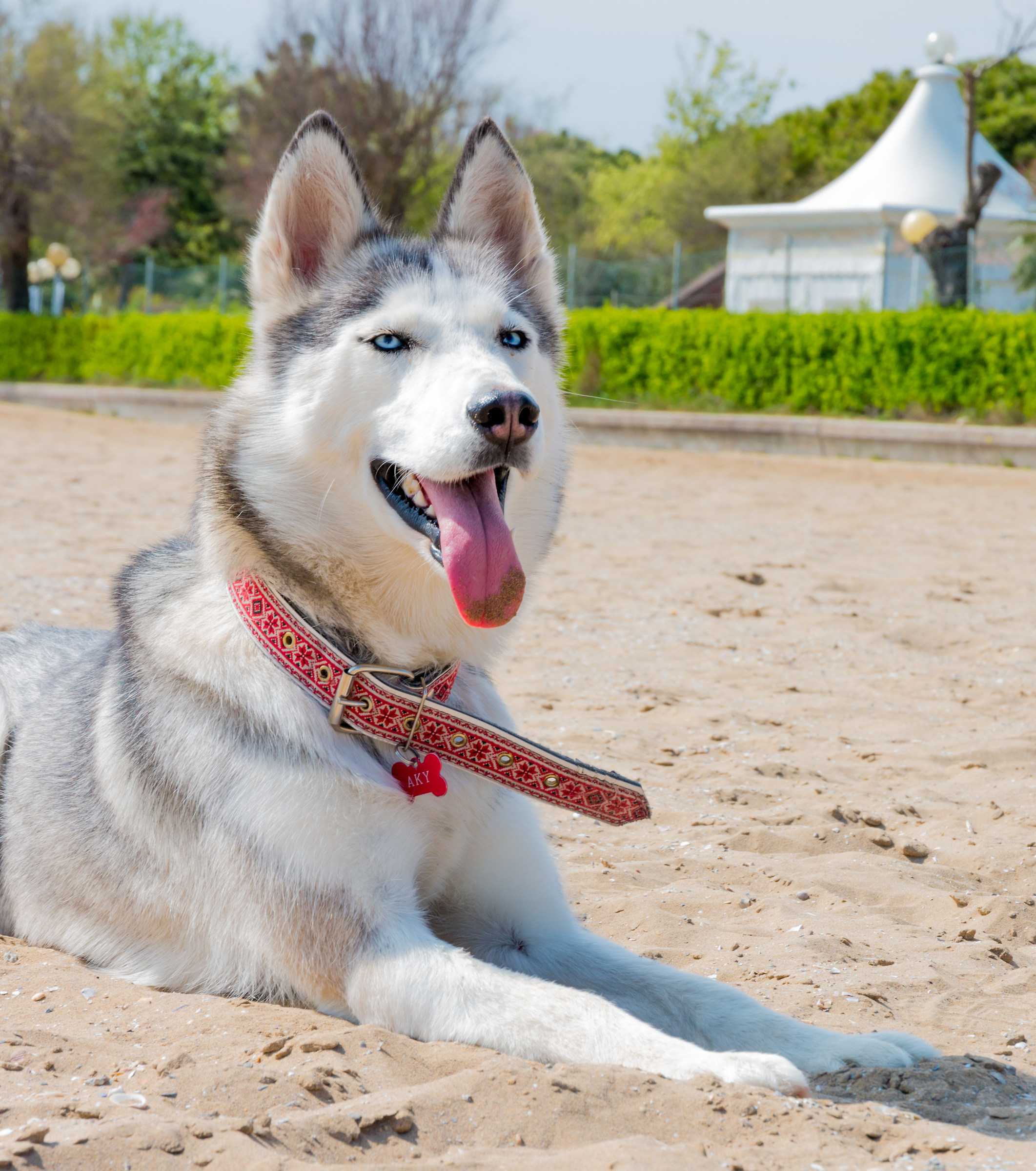 finalmete un po' di relax...