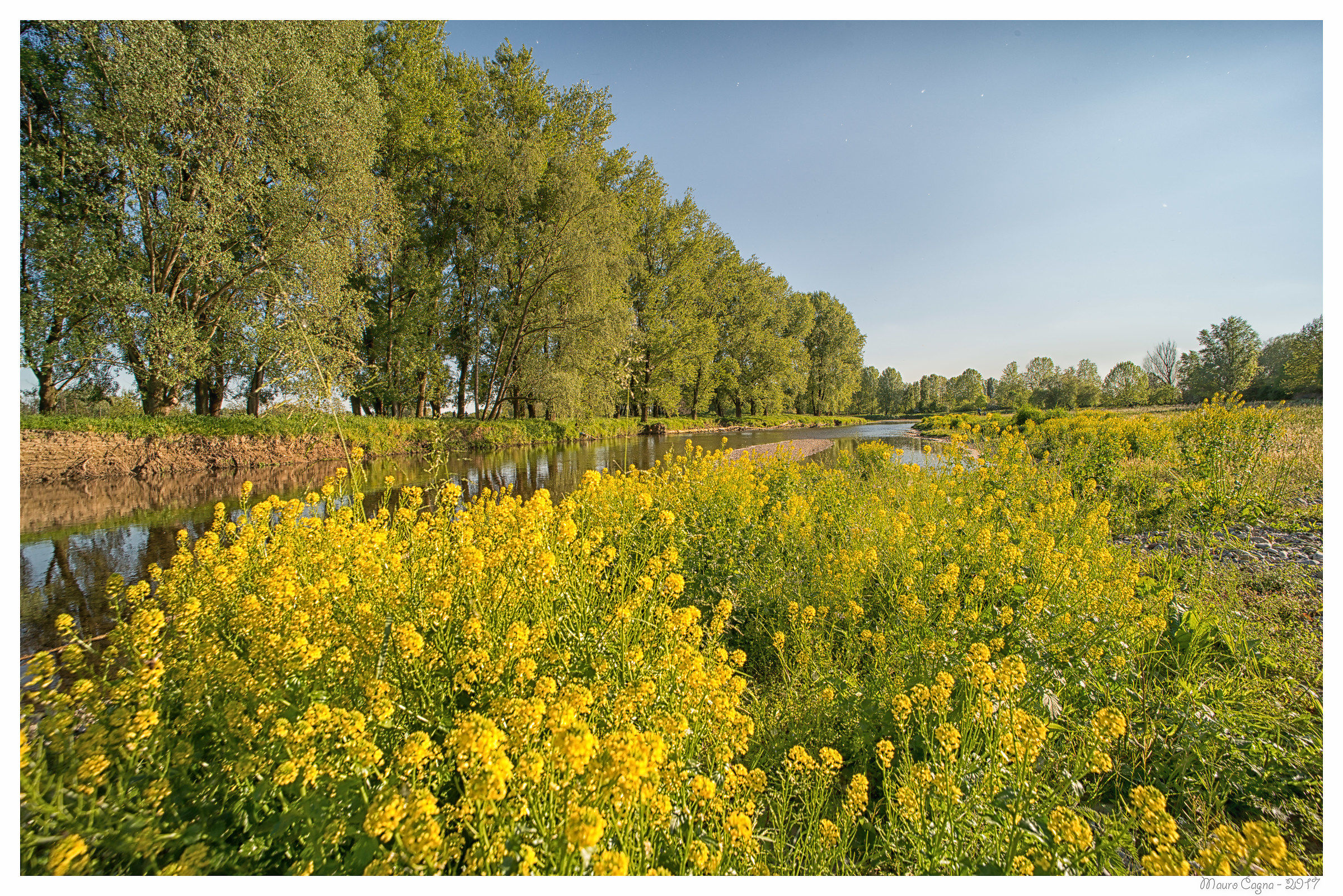 Spring along the river