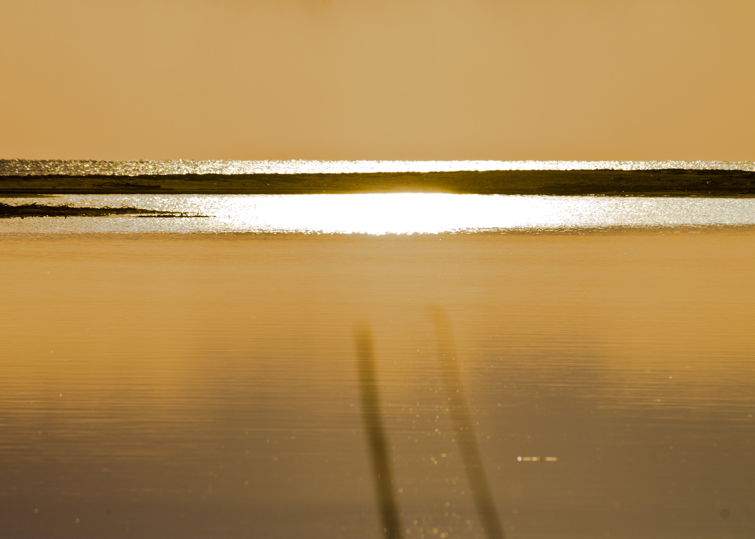 L'oro alla foce del Mignone