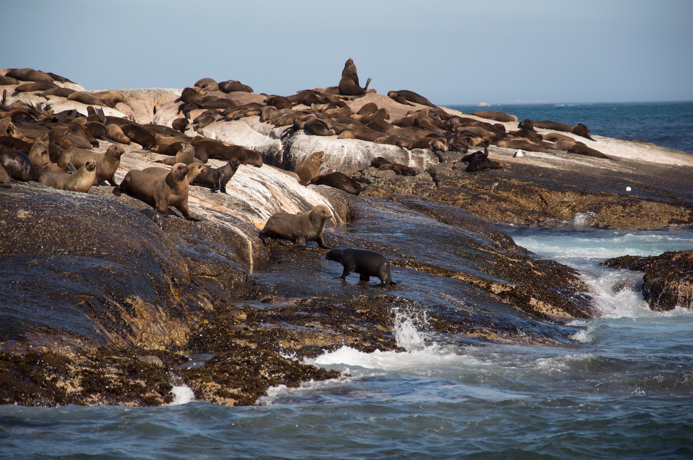 Seals to the bathroom