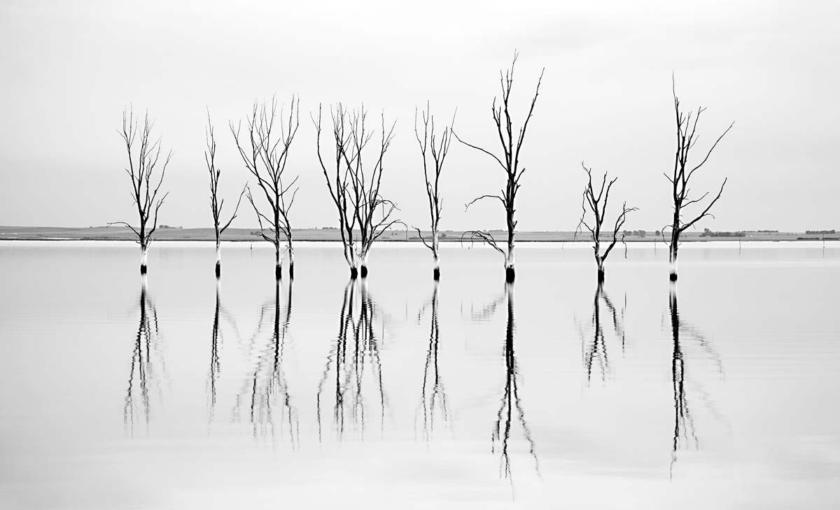 Brotherhood of Resistance  (Epecuén Lagoon)