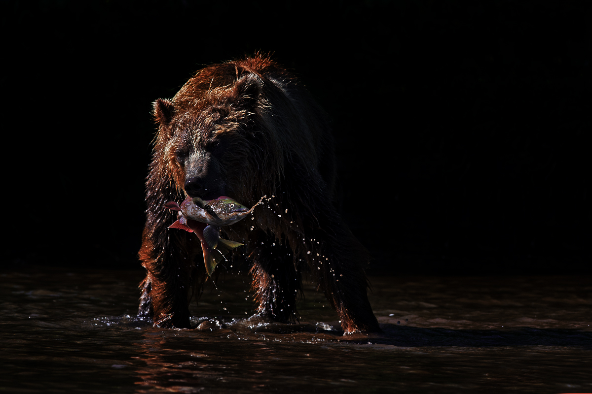 Psycho KIller !  dark version