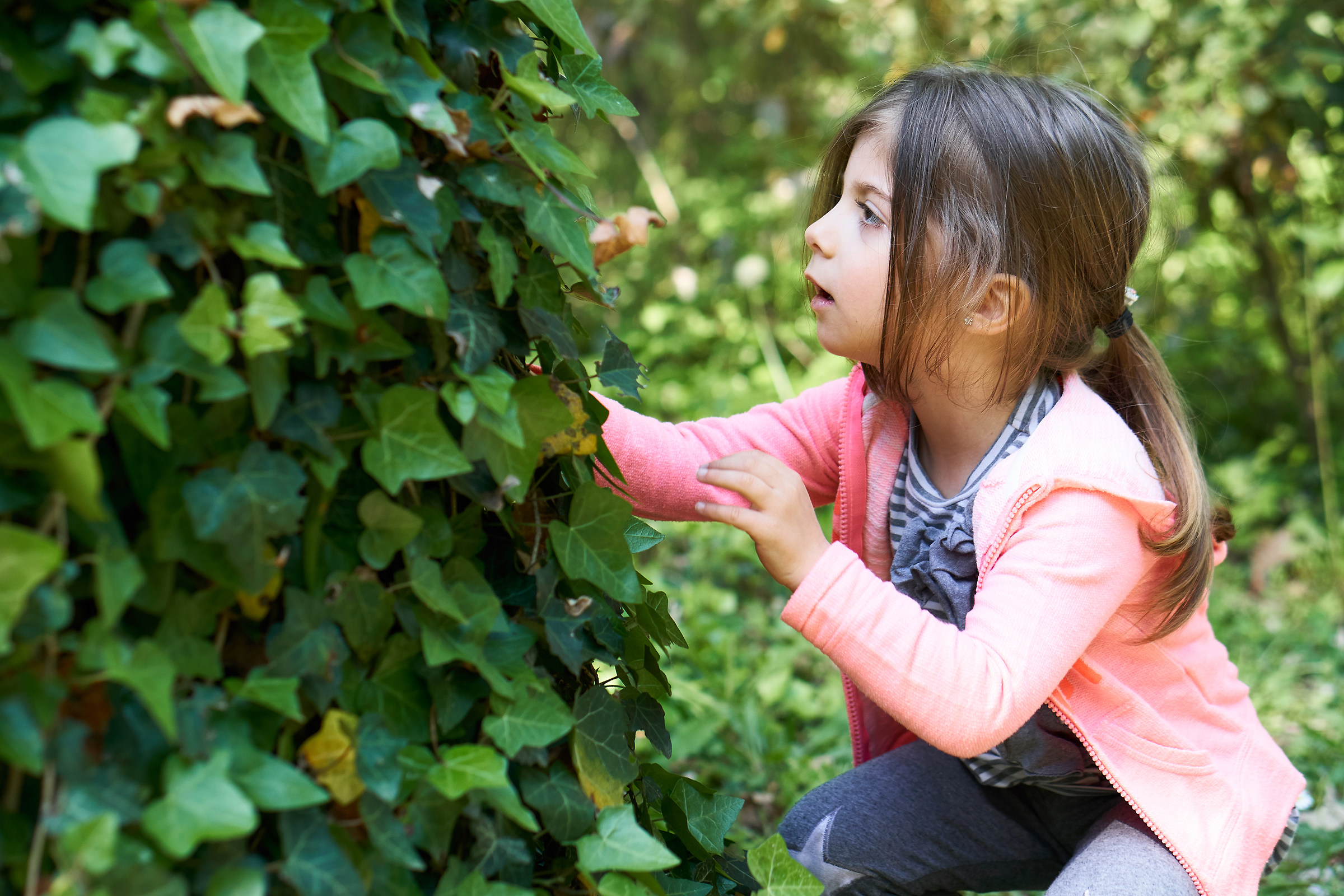 Looking for the fairies