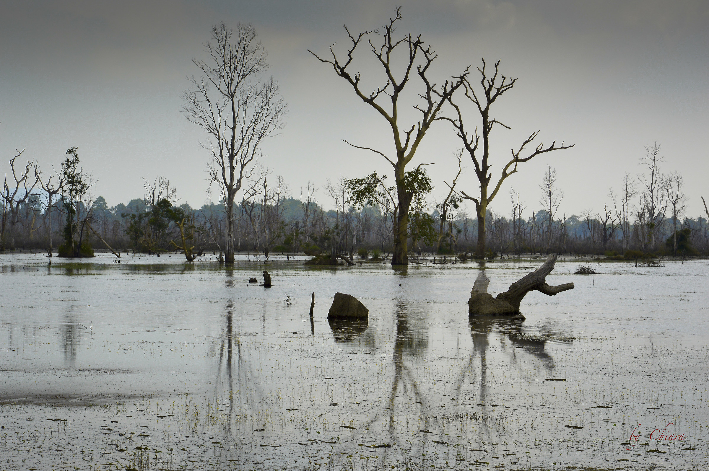 The property reflection