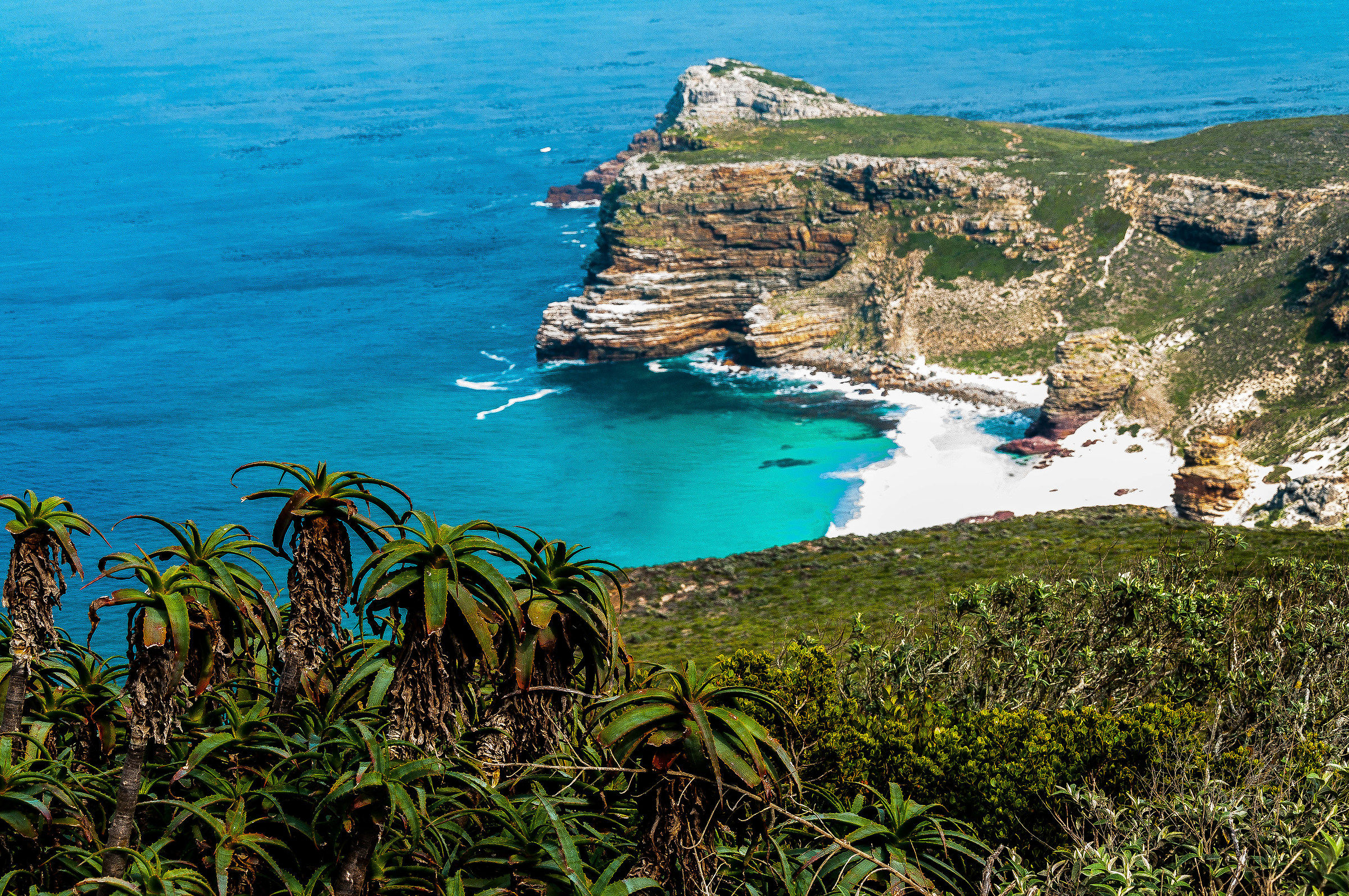 Cape of Good Hope