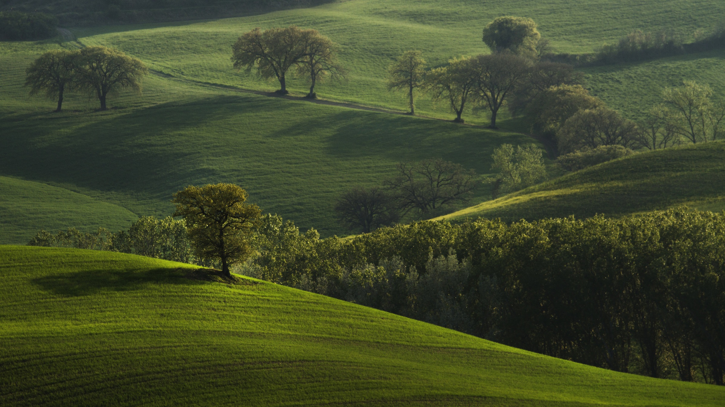 100 sfumature di verde