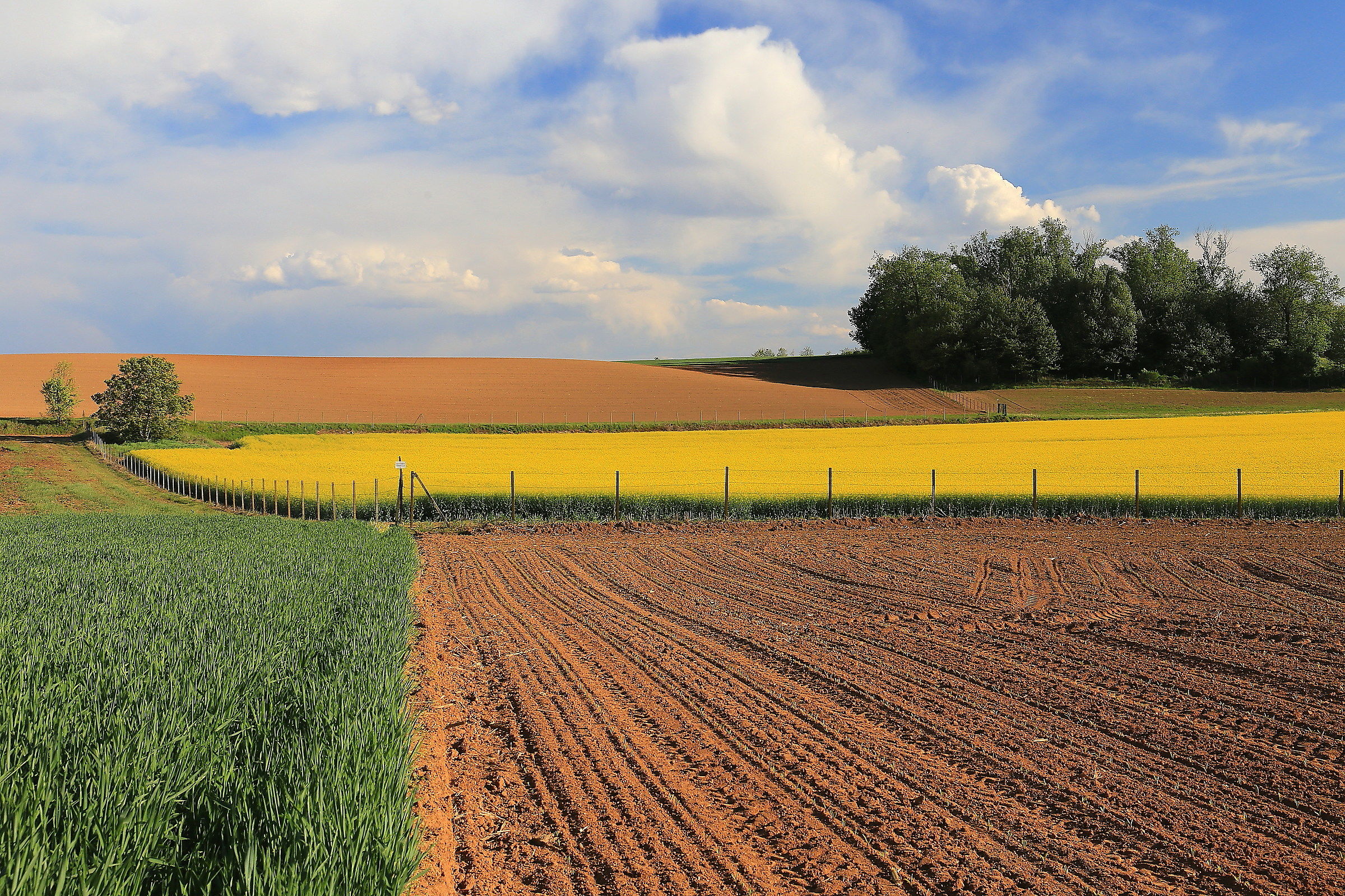 la brianza incontaminata