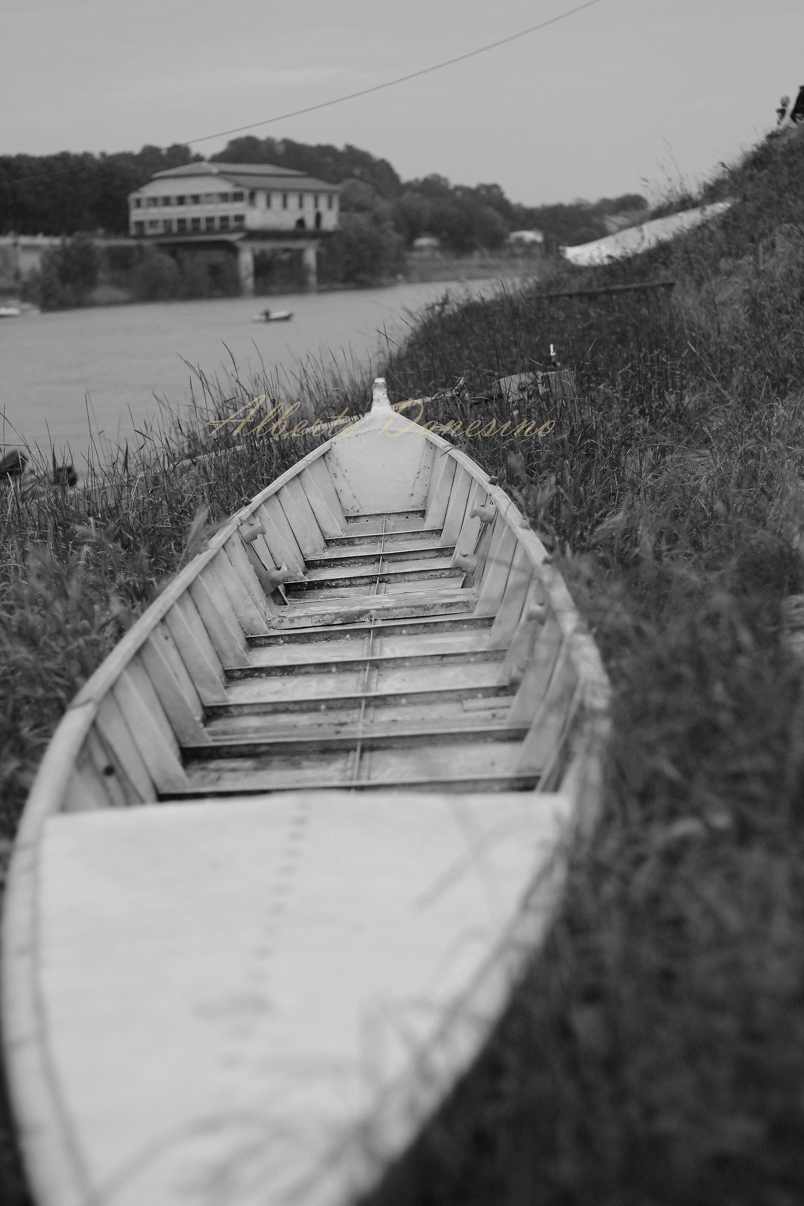 Waiting for the wave