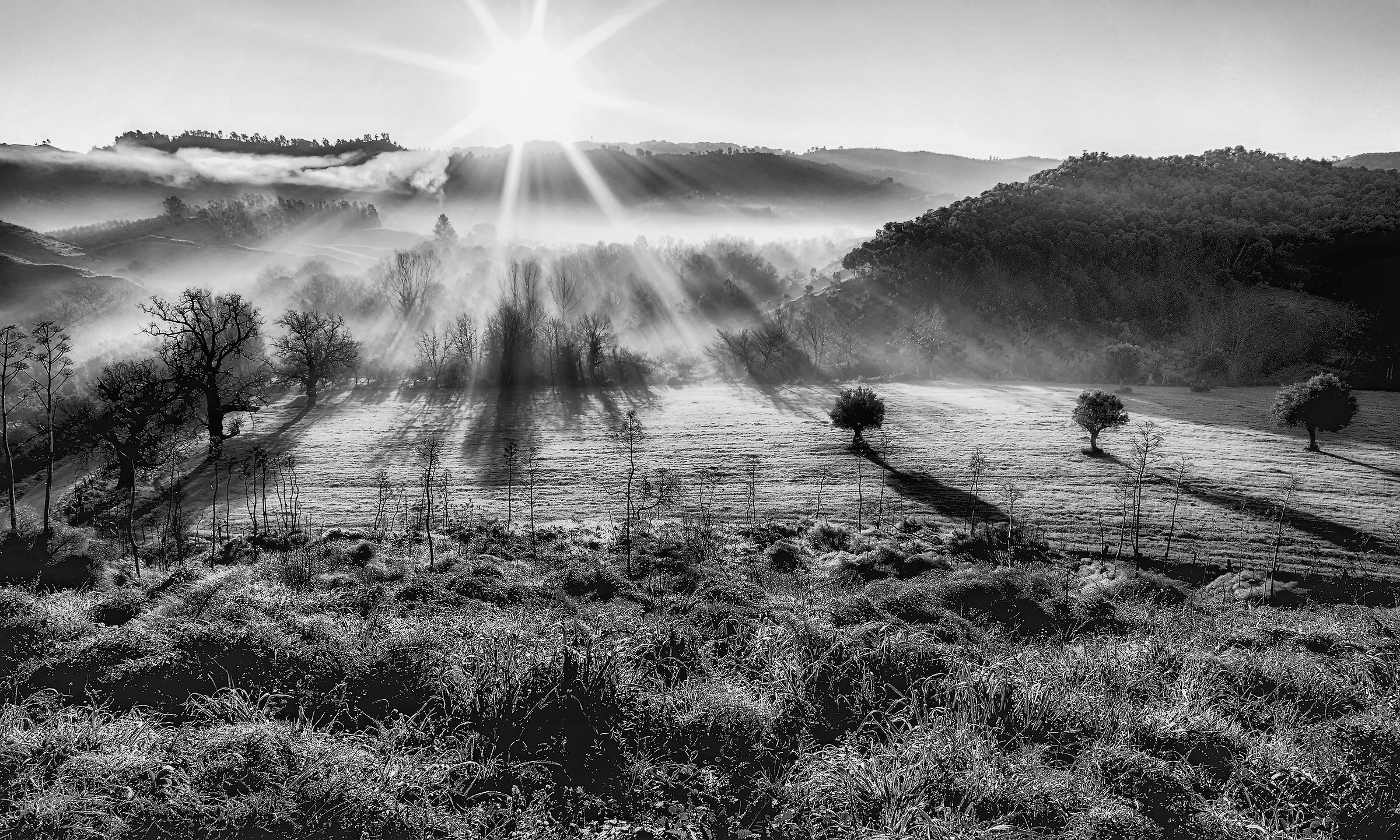 Shadows and Fog in the country!