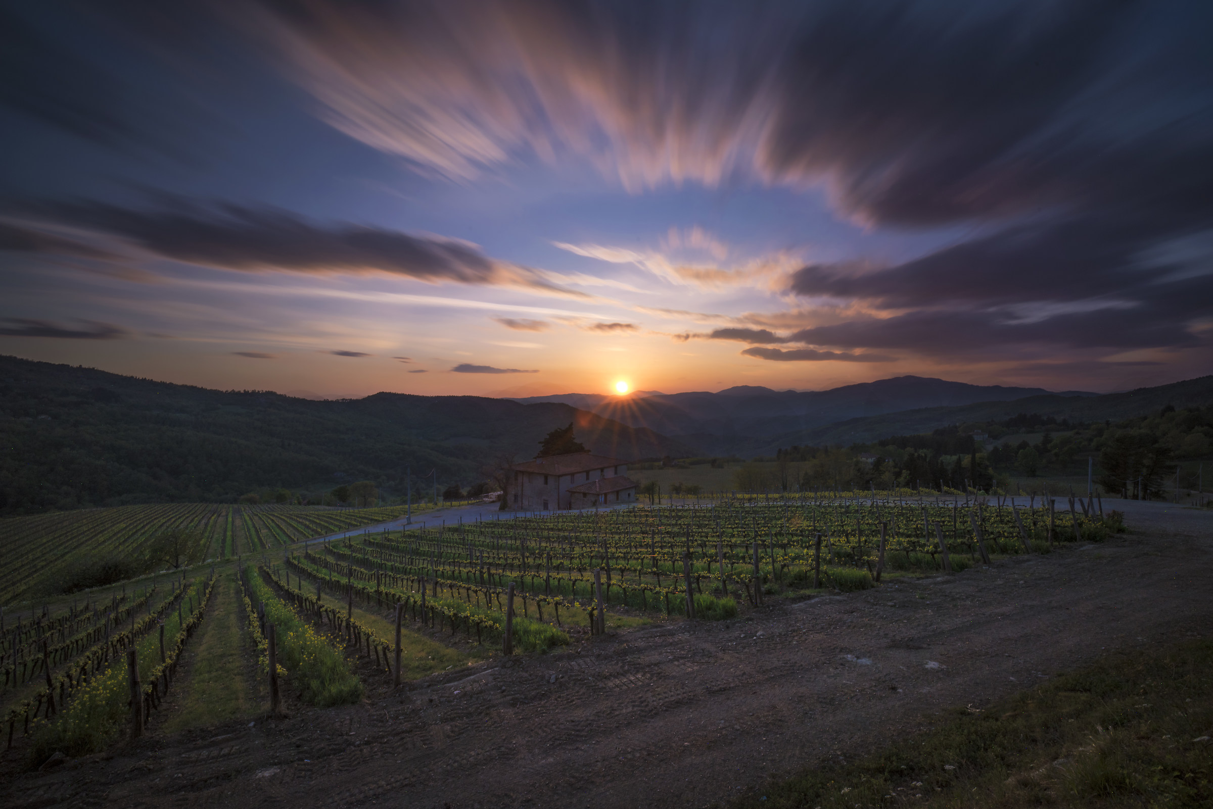 tramonto alla fattoria di pomino de frescobaldi