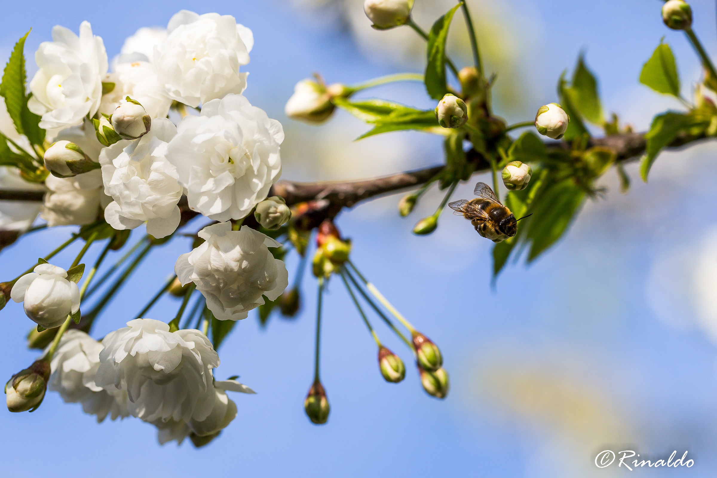 La primavera, calore per il corpo e per la mente
