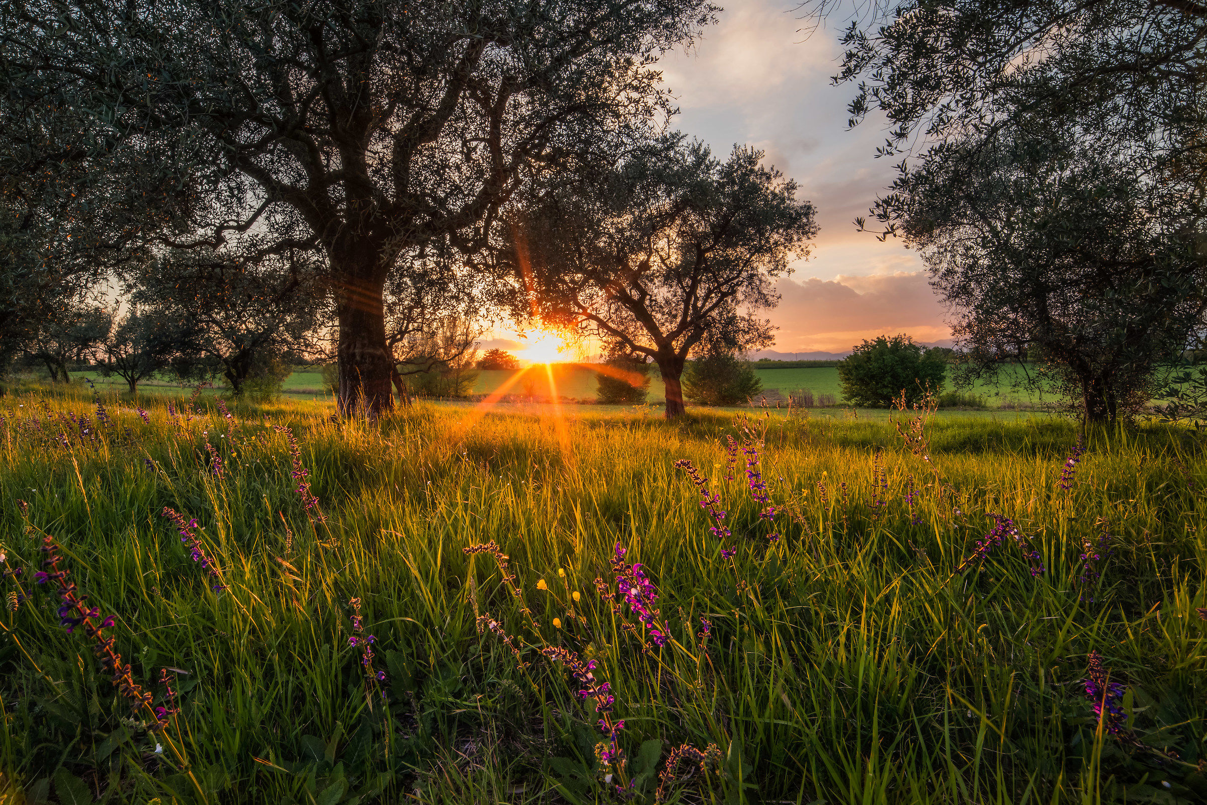 Tramonto di Primavera
