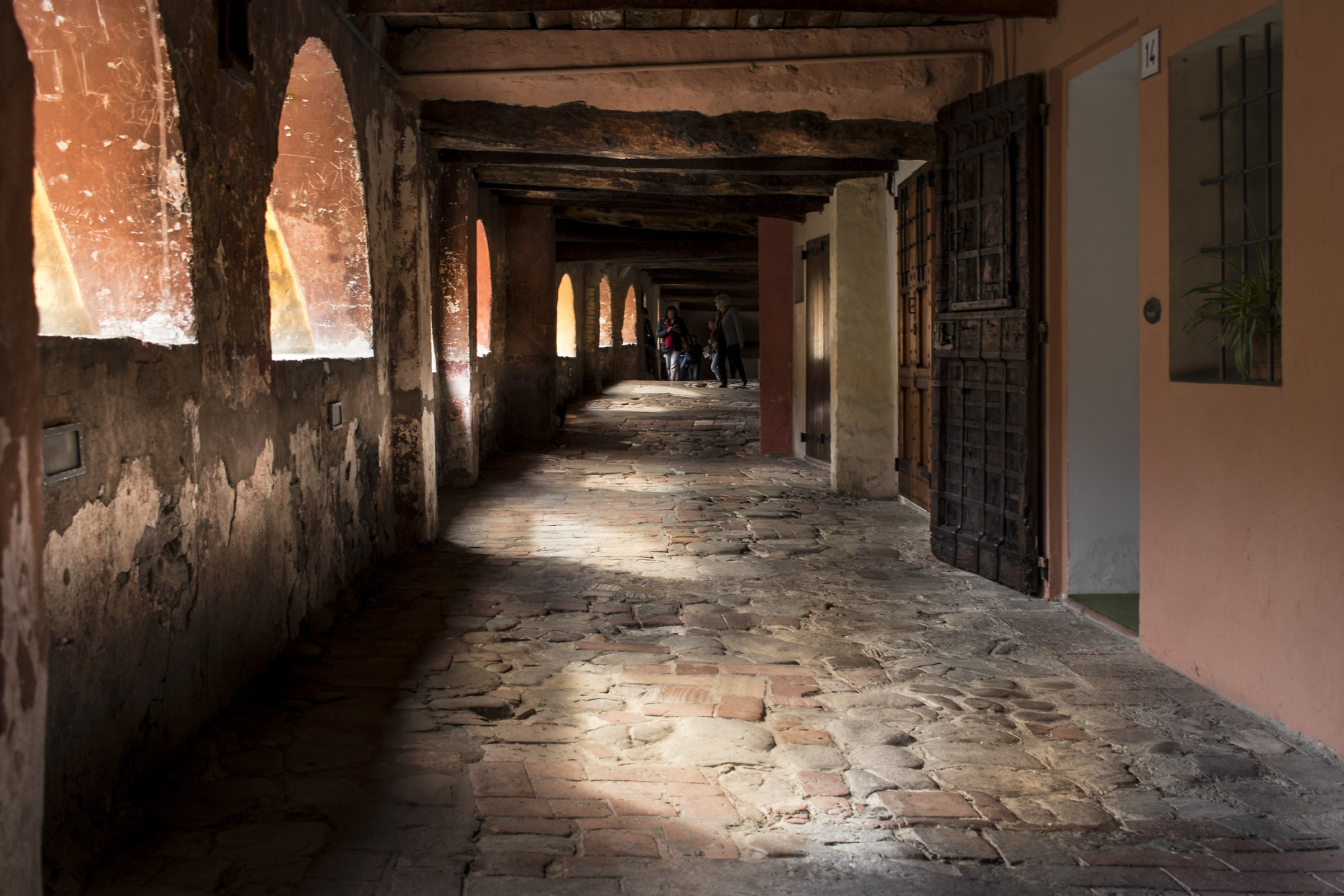 Via donkeys - Brisighella