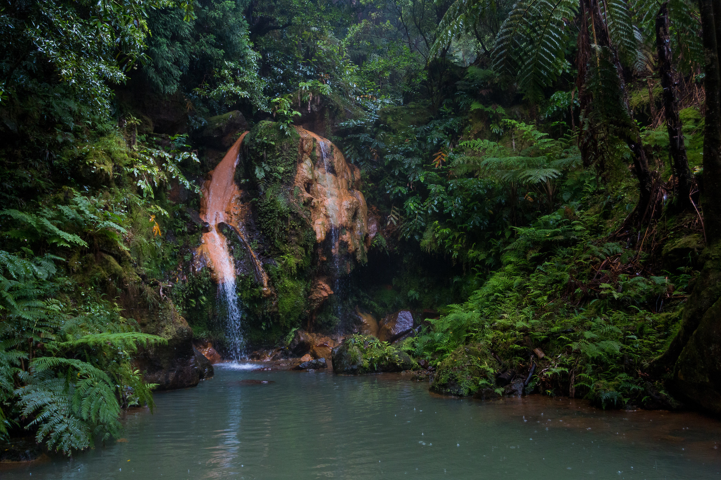 La doccia nella foresta