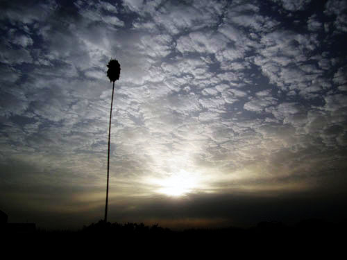 another reason to enjoy the world