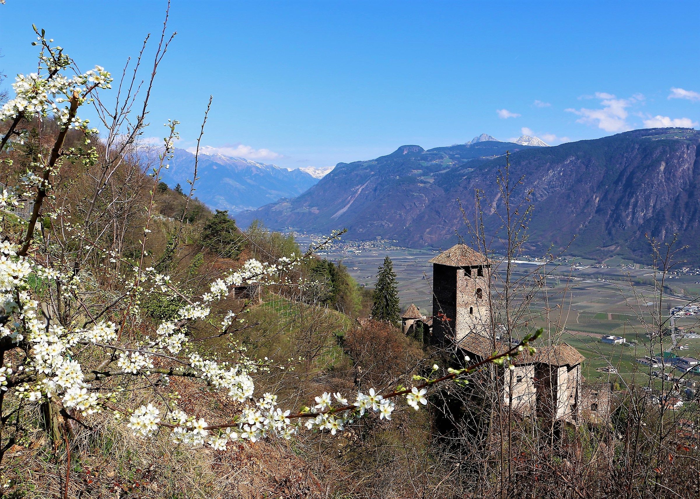 Castel Bavaro --Nalles--