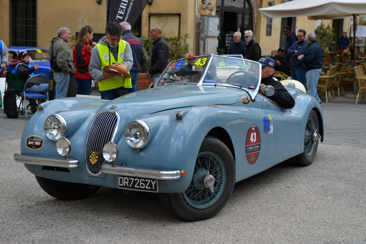 Terre di Canossa 2017