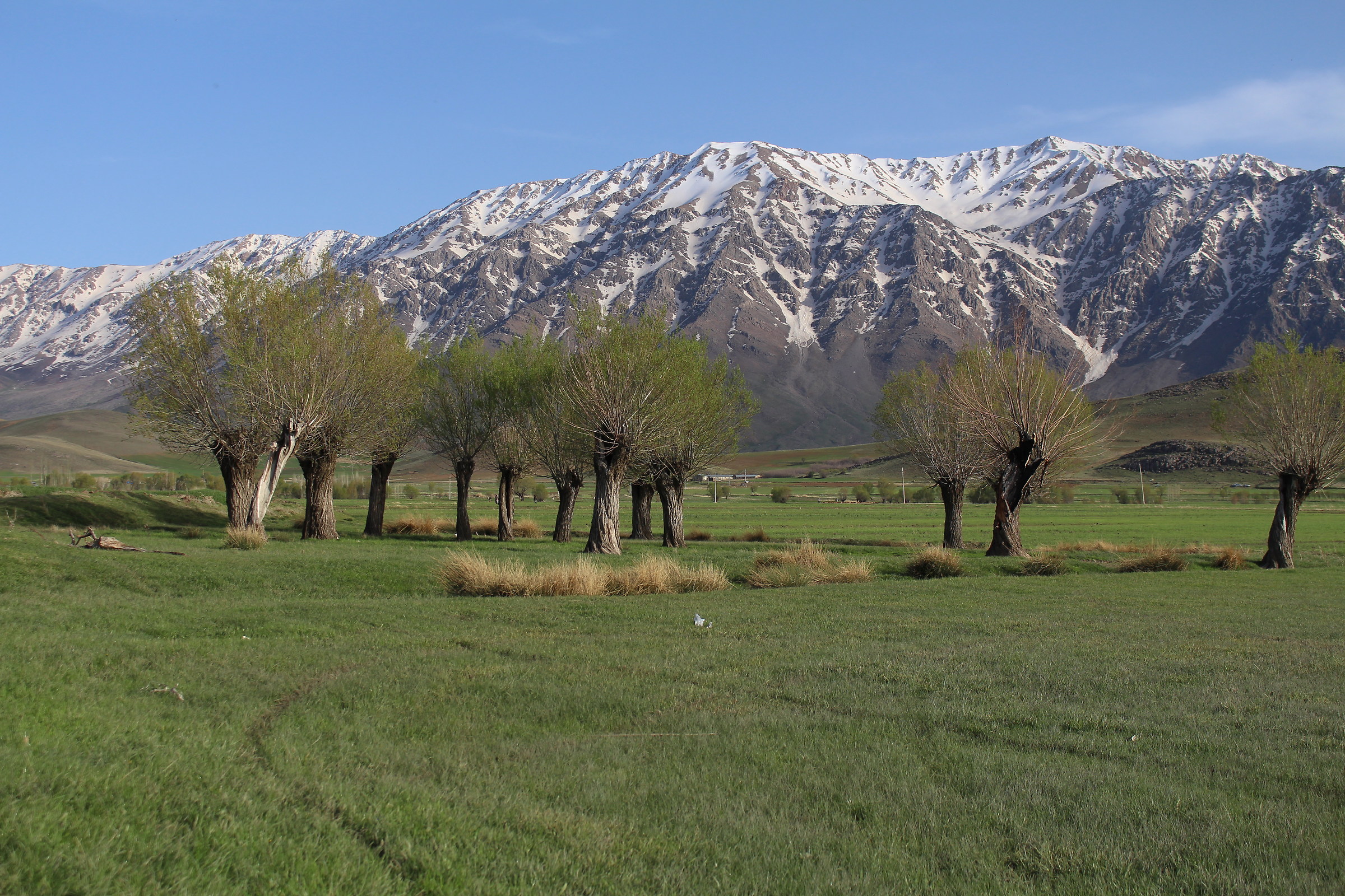 Iran, Kermanshah, Songhor