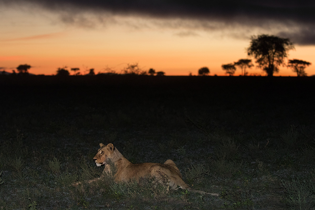 l' Alba di un nuovo giorno