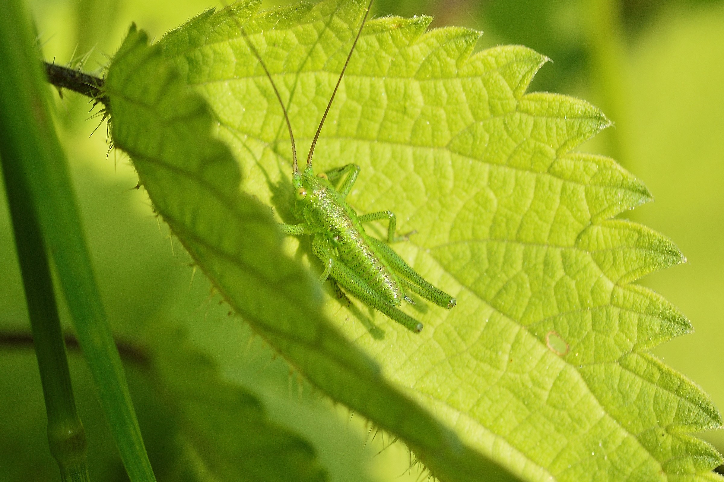 Hello this is my home I can get you something?