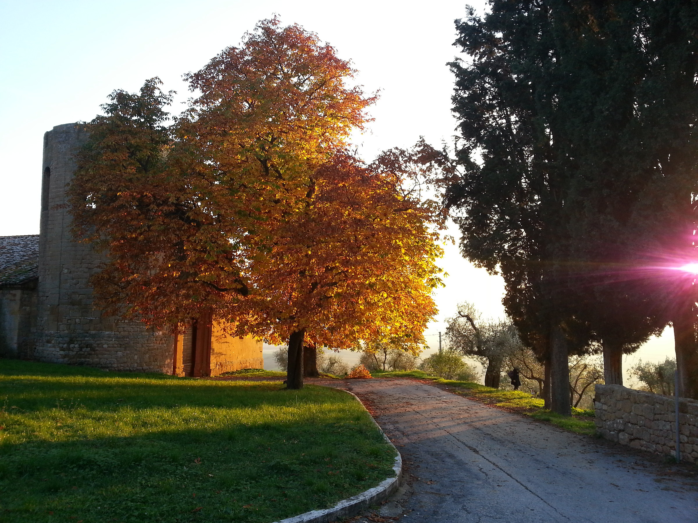 Sunset in the Val d'Orcia