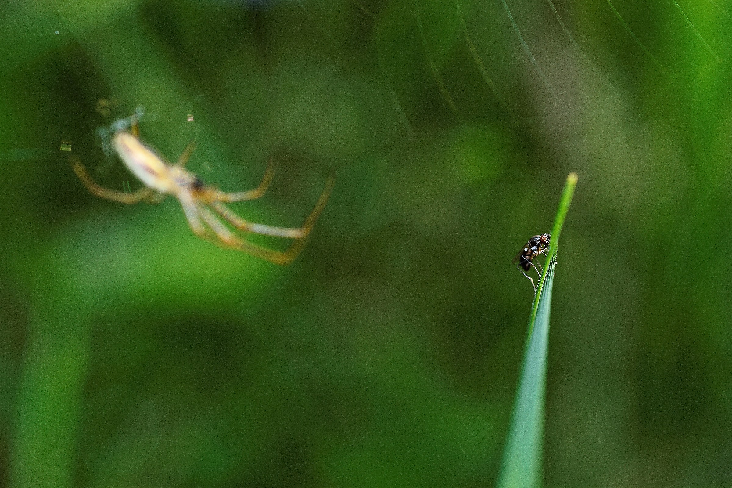 Luckily now in peace ..