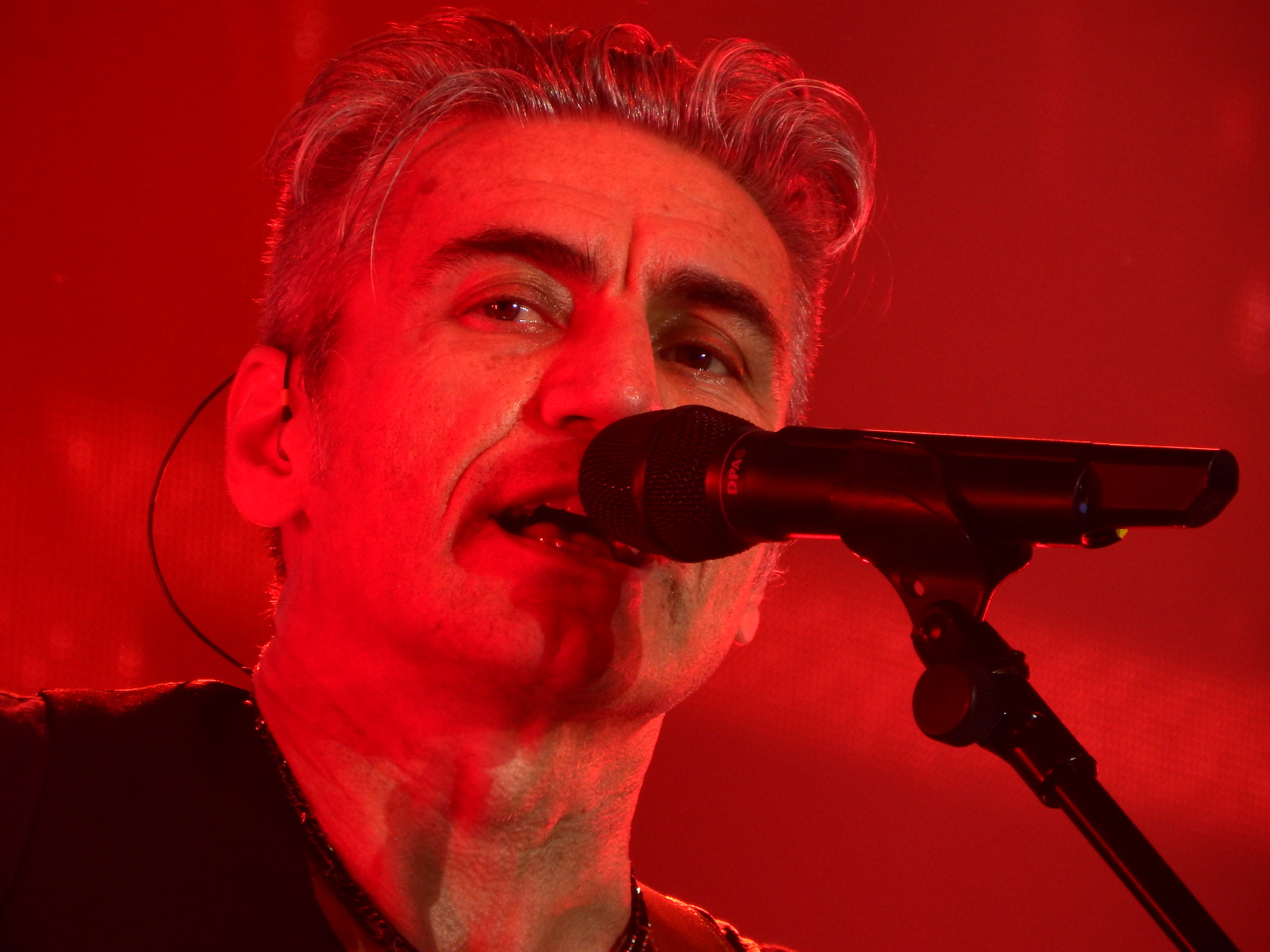 Ligabue
