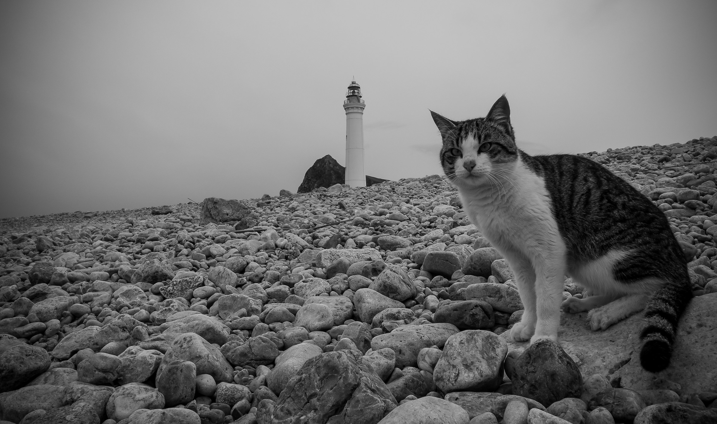 Il guardiano del faro