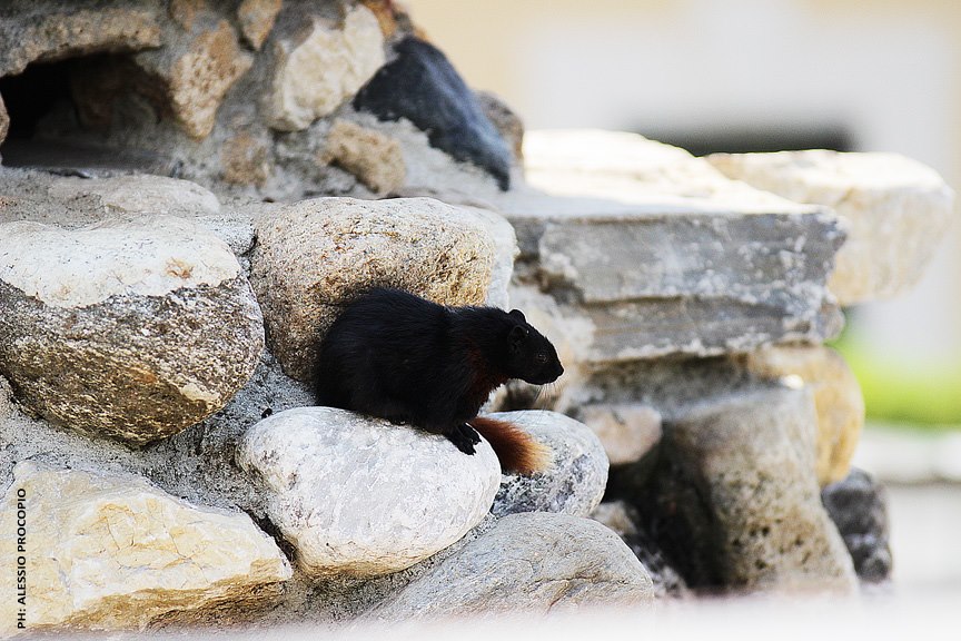 He relaxes everywhere ...