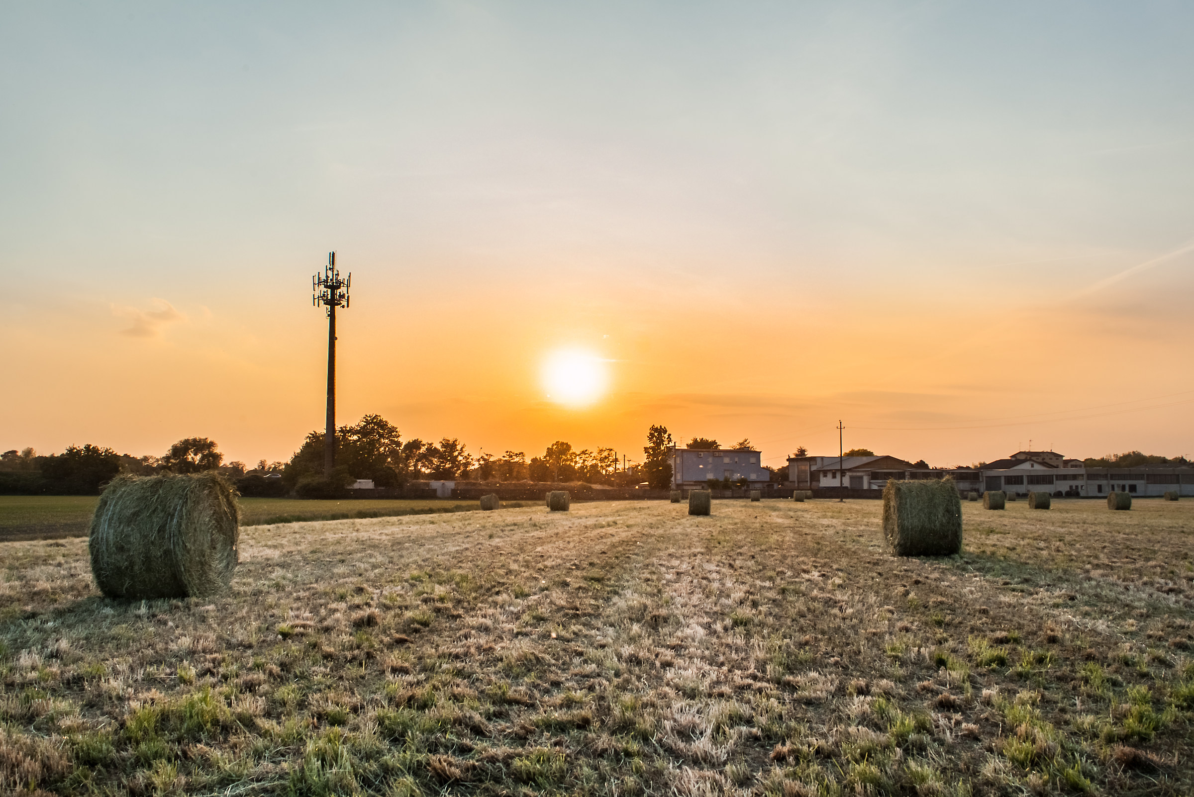 Polline Al Tramonto....