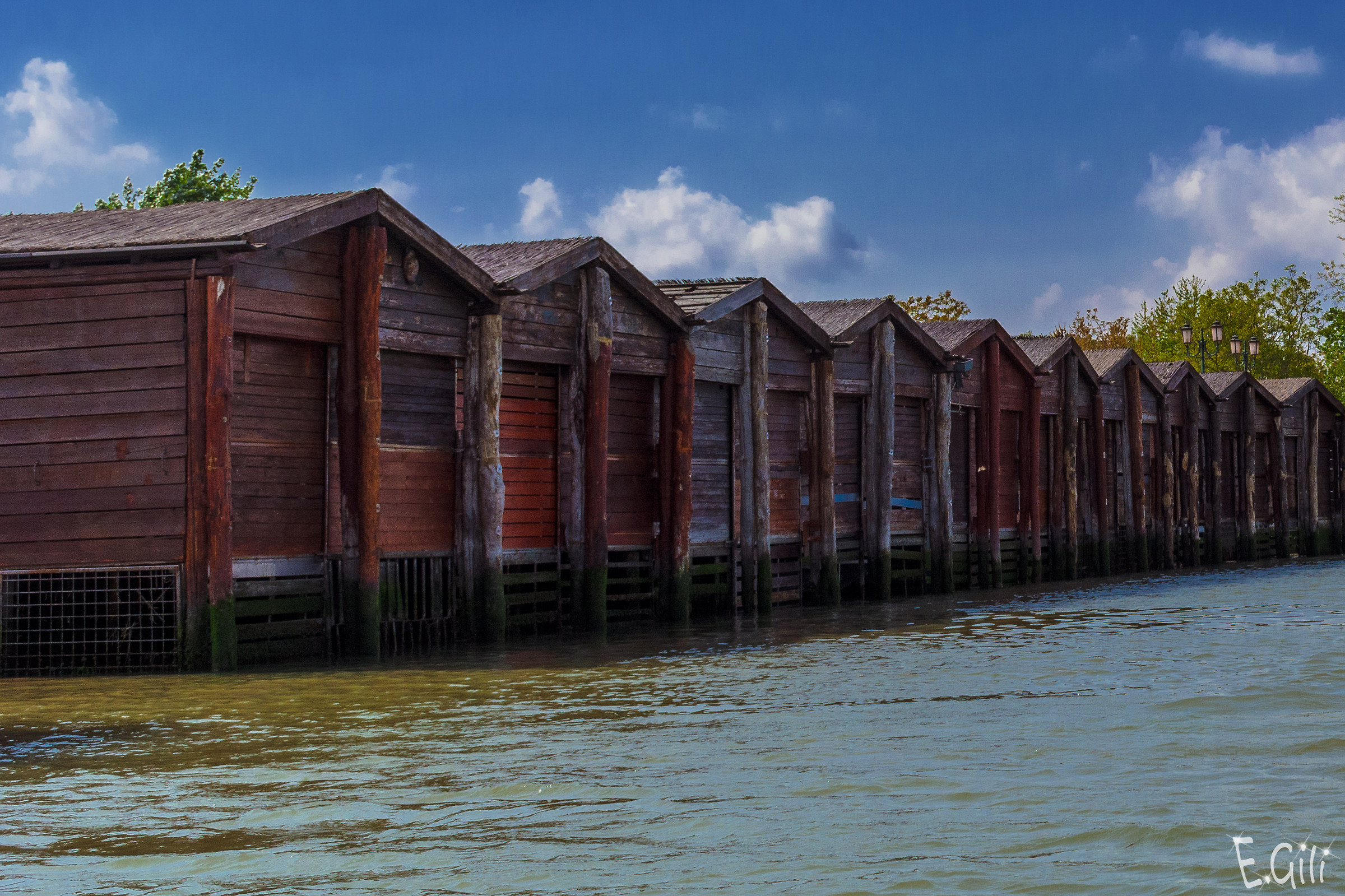 Cavane laguna veneta