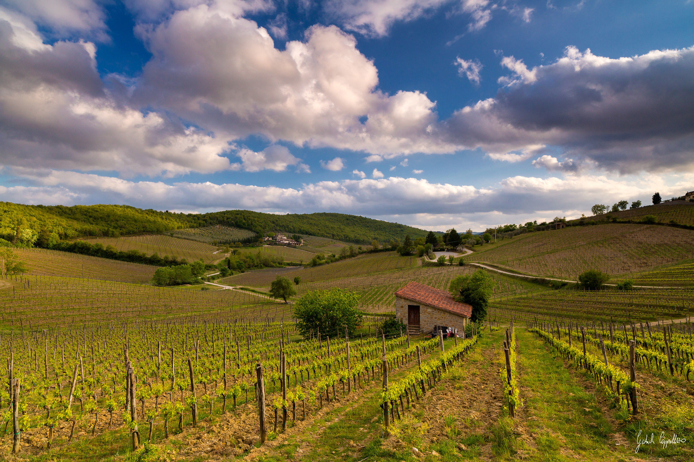 In the land of Chianti