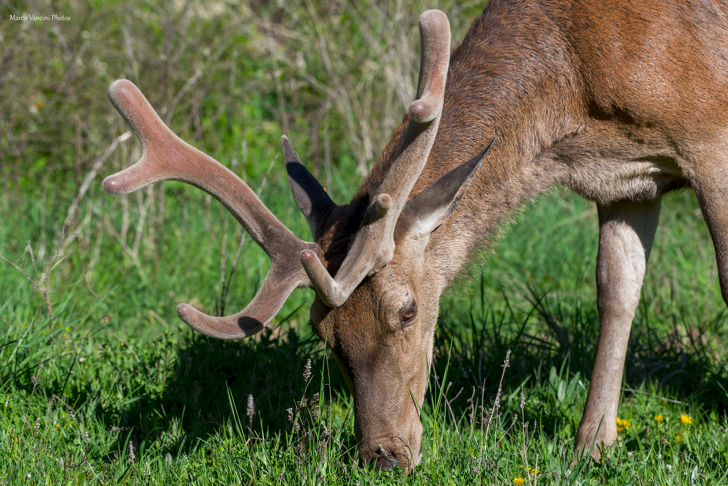 The change of the stage