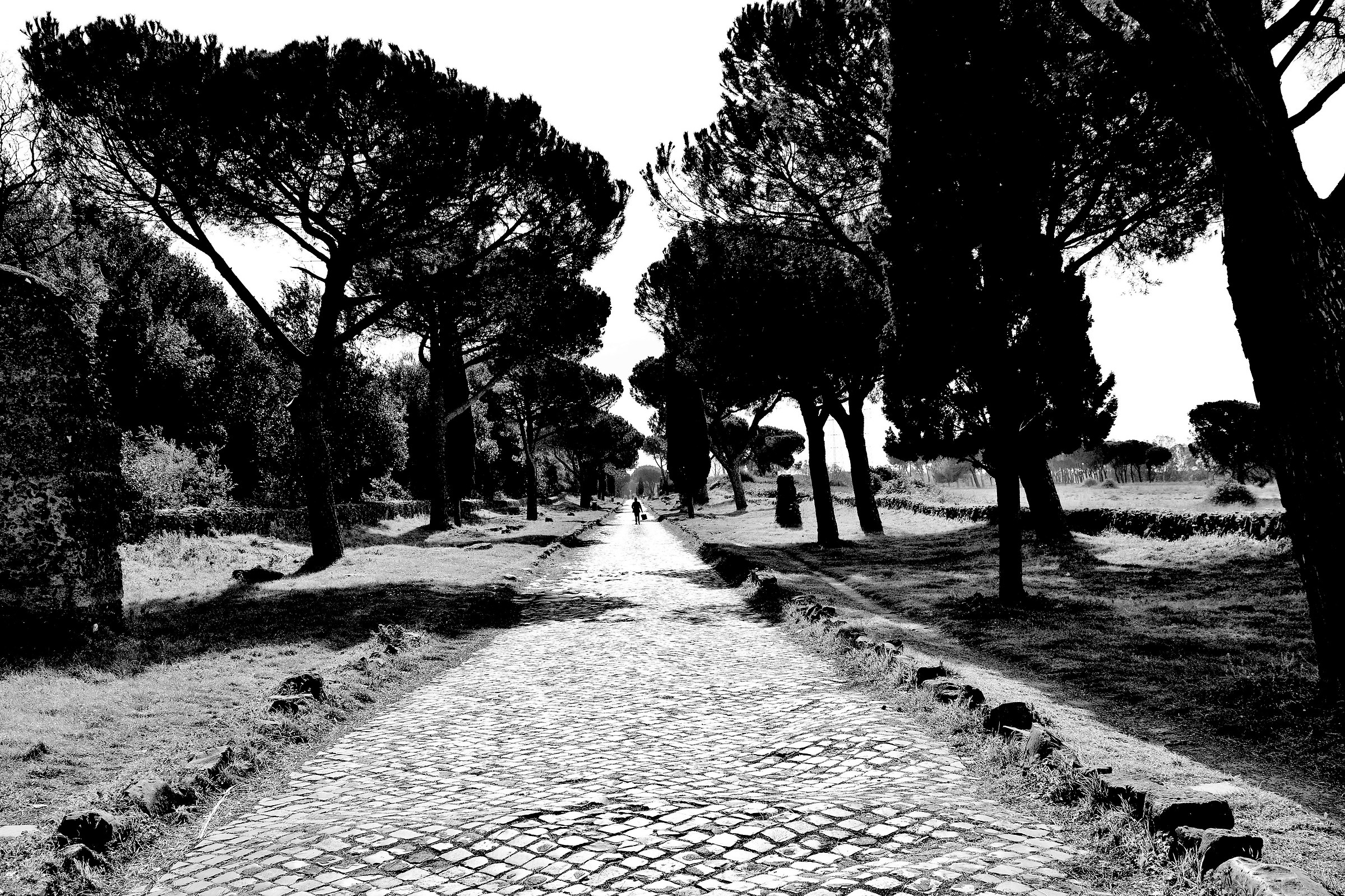 Passeggiando sull'Appia antica