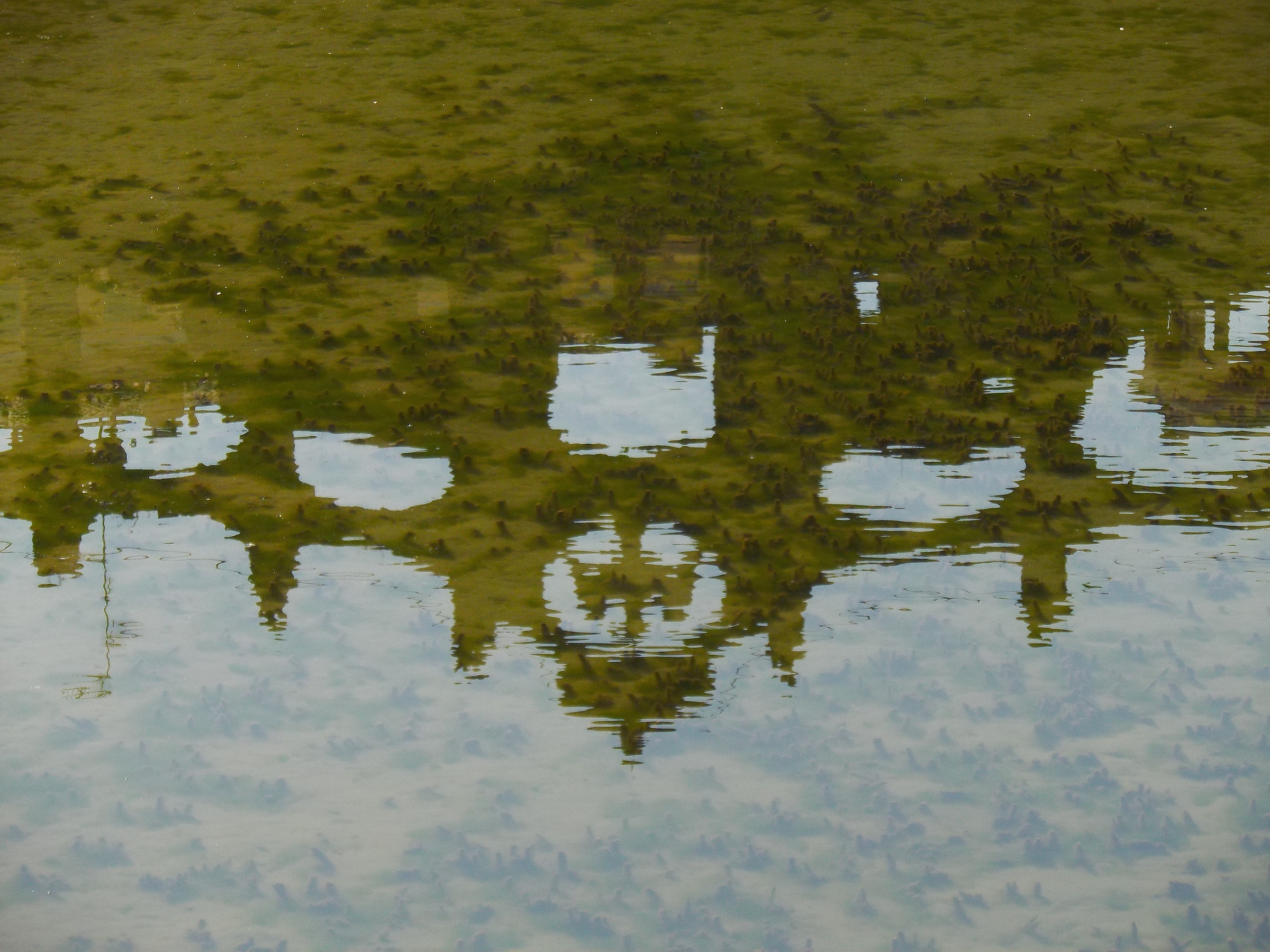 Riflessi alla Peschiera