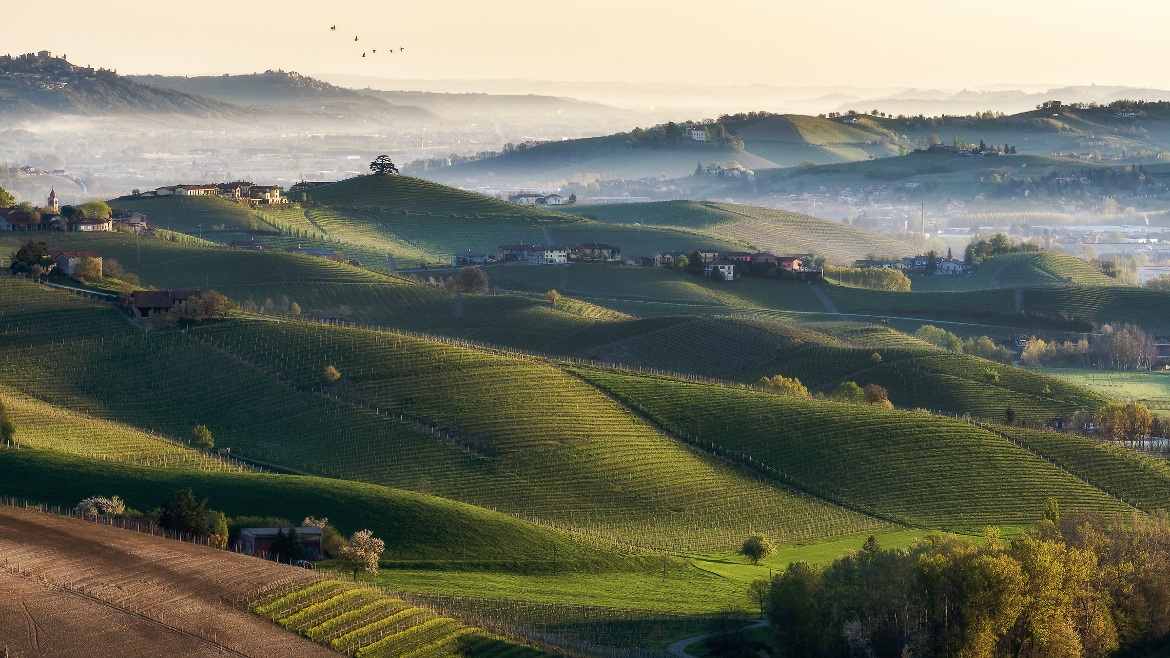 Sunrise on the Langhe