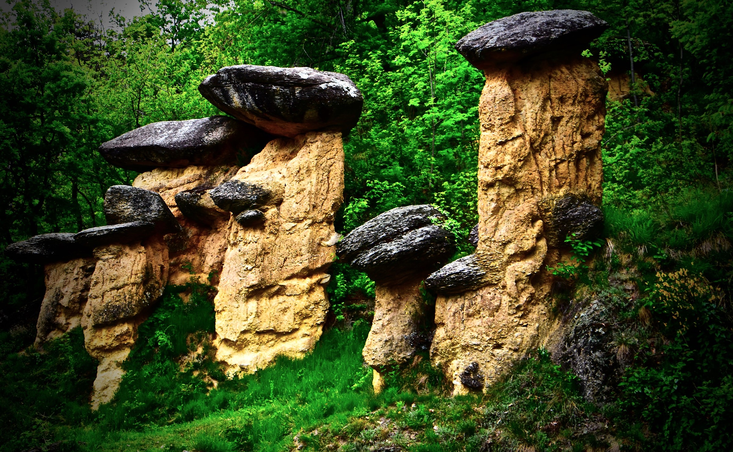 Ciciu Pera riserva naturale Villar San Costanzo